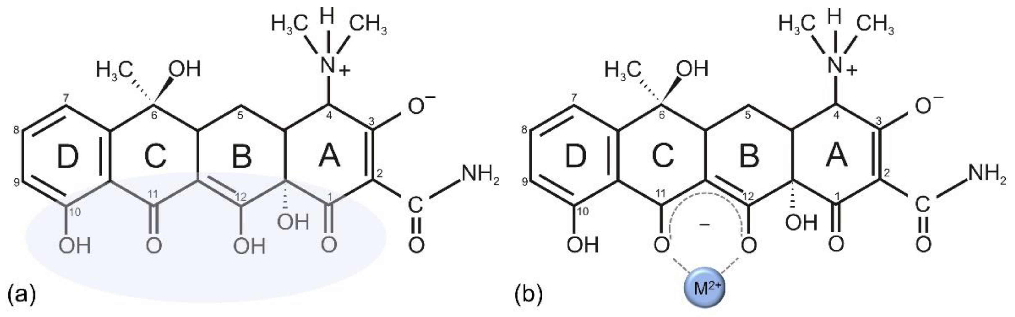 Antibiotics 11 01105 g003