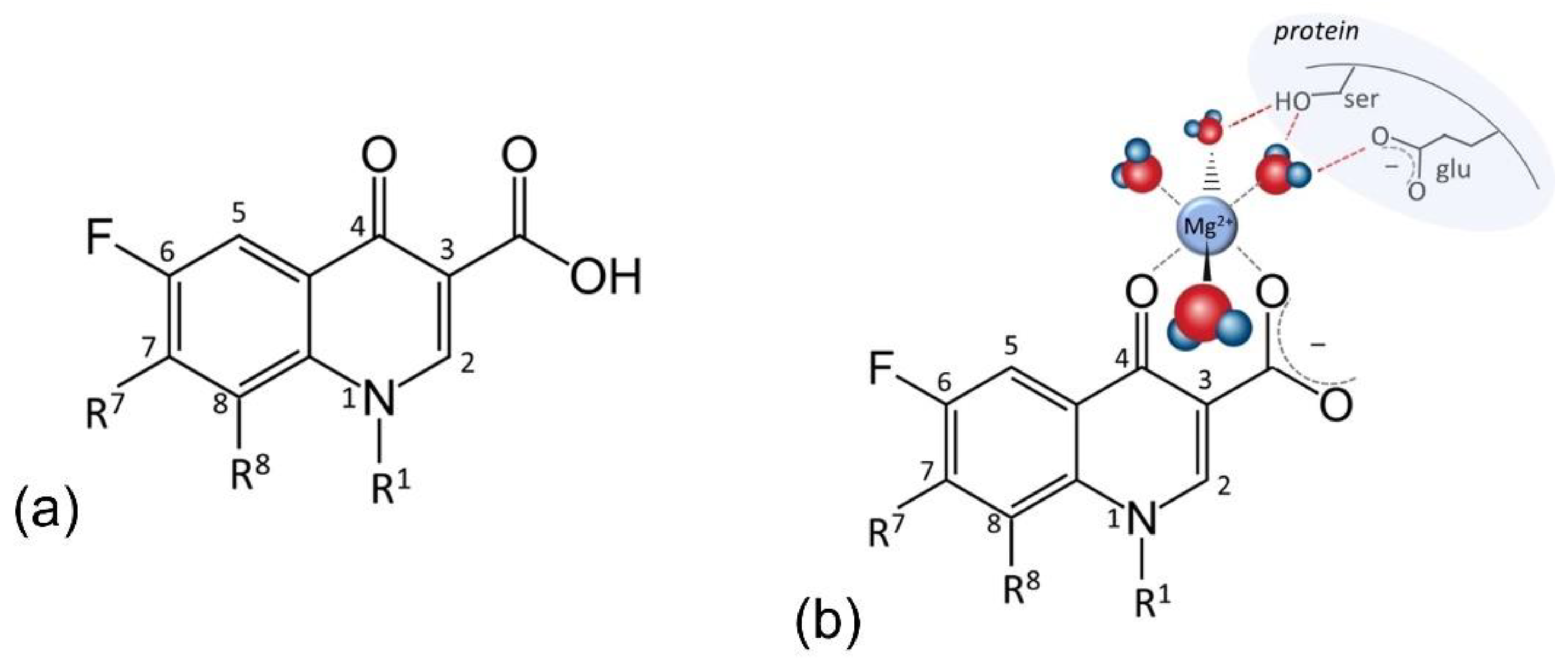 Antibiotics 11 01105 g005