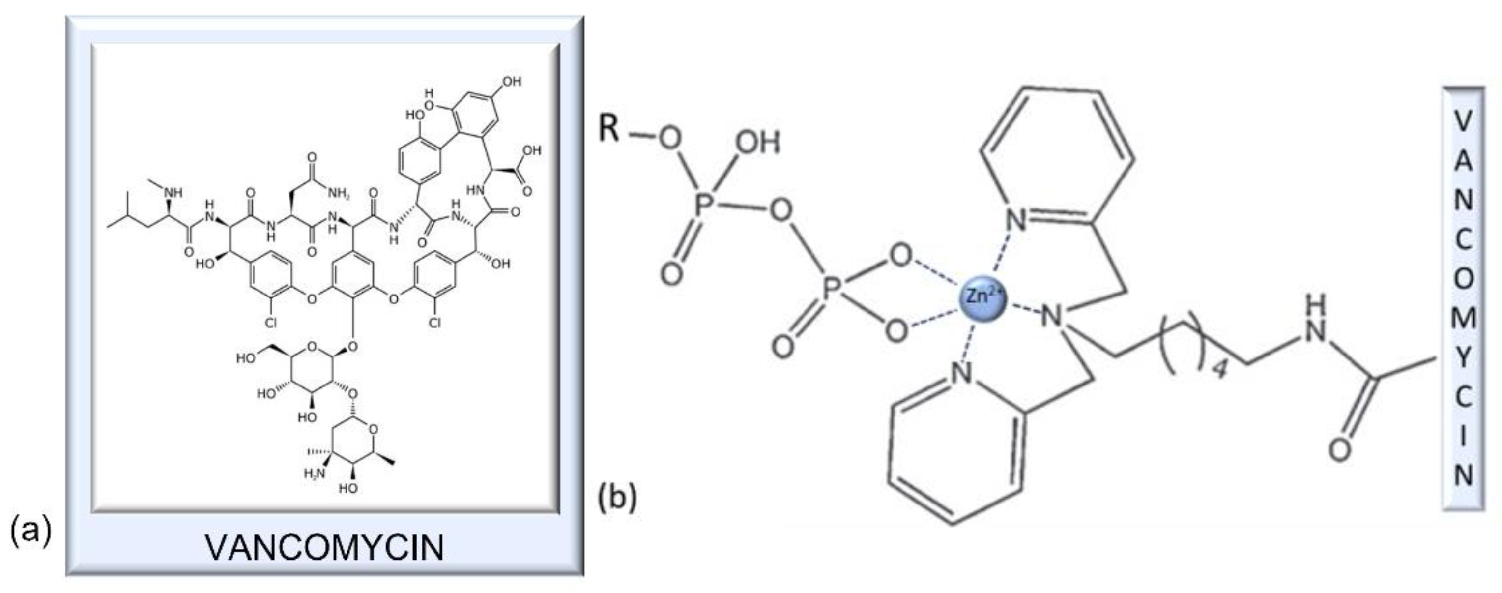 Antibiotics 11 01105 g007