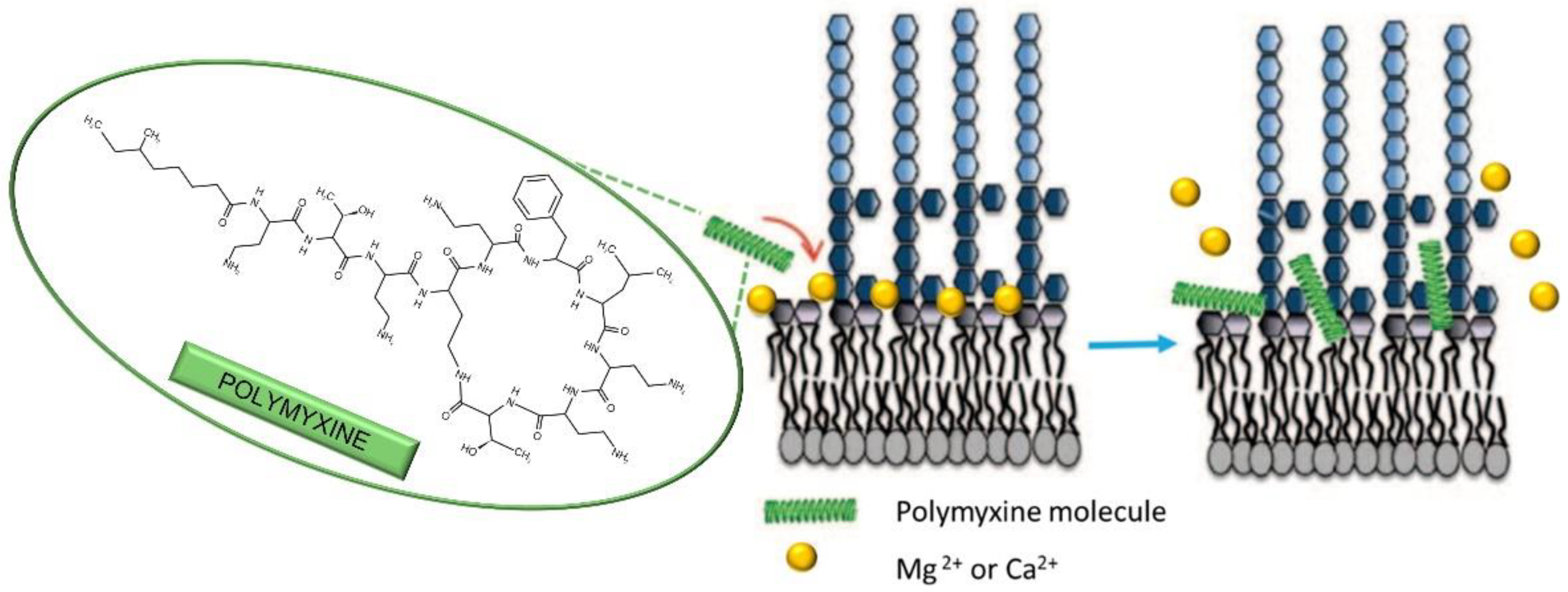Antibiotics 11 01105 g008