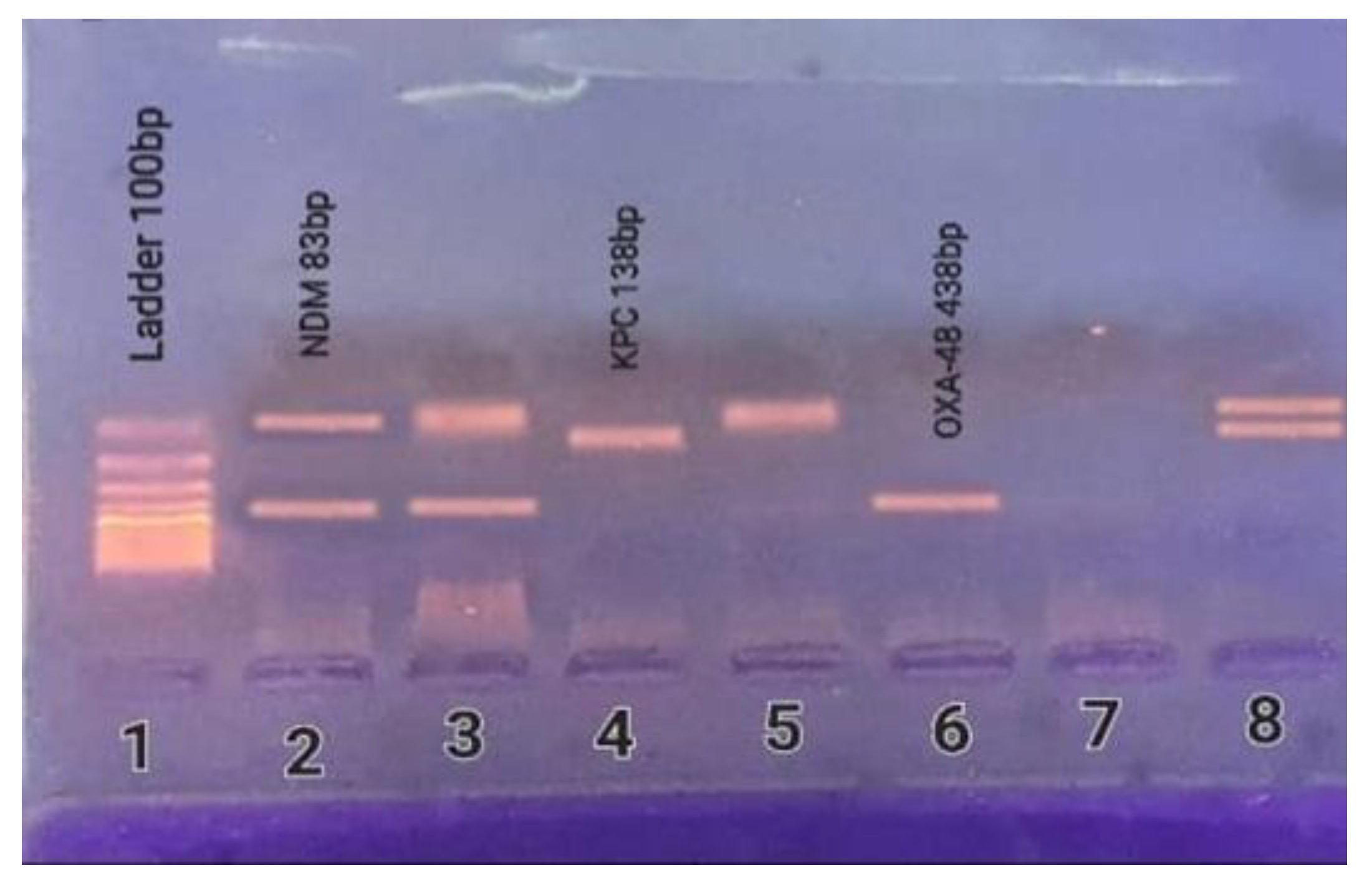 Antibiotics 11 01108 g002 Antibiotics 11 01108 g002