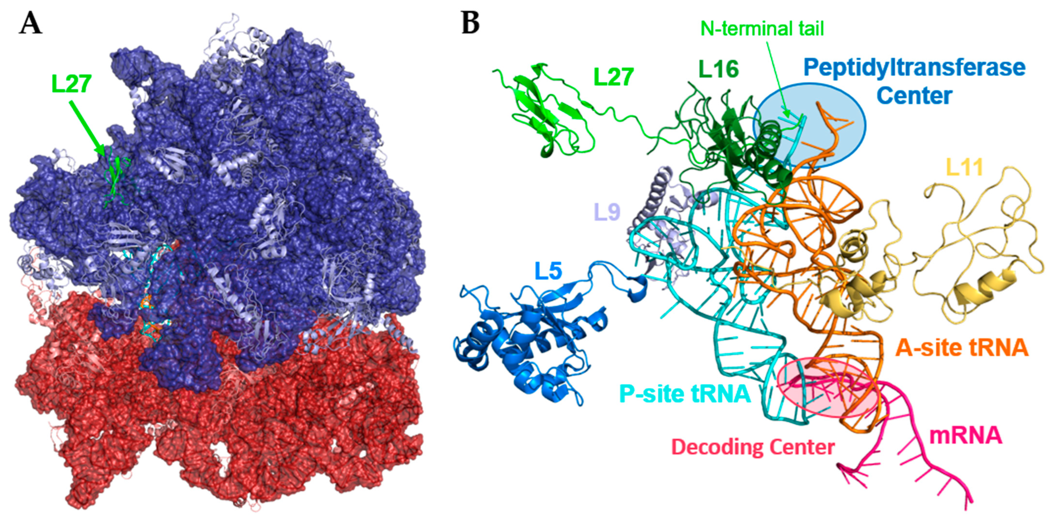 Antibiotics 11 01109 g001