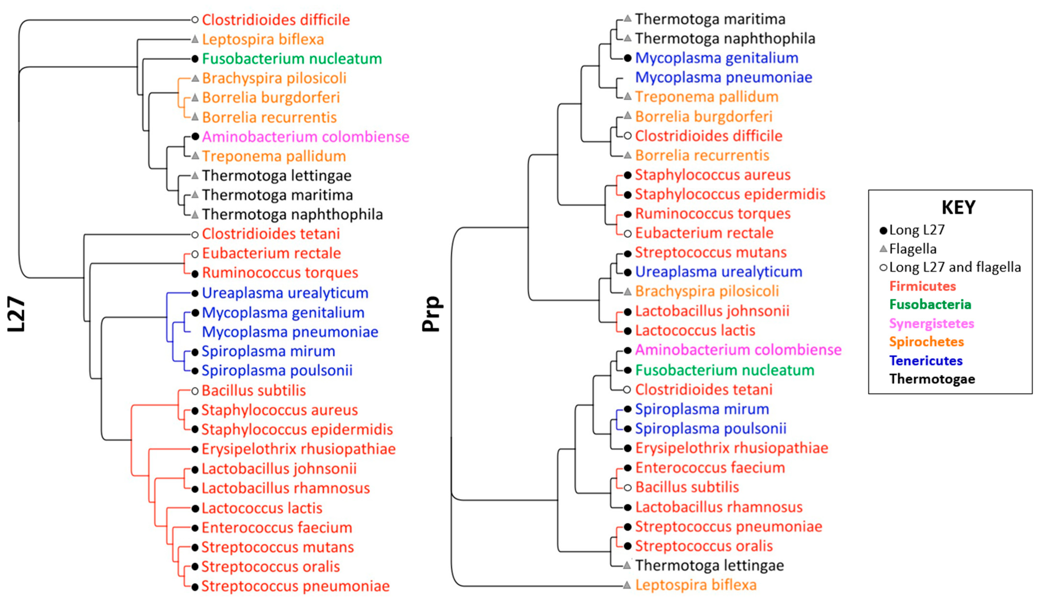 Antibiotics 11 01109 g002