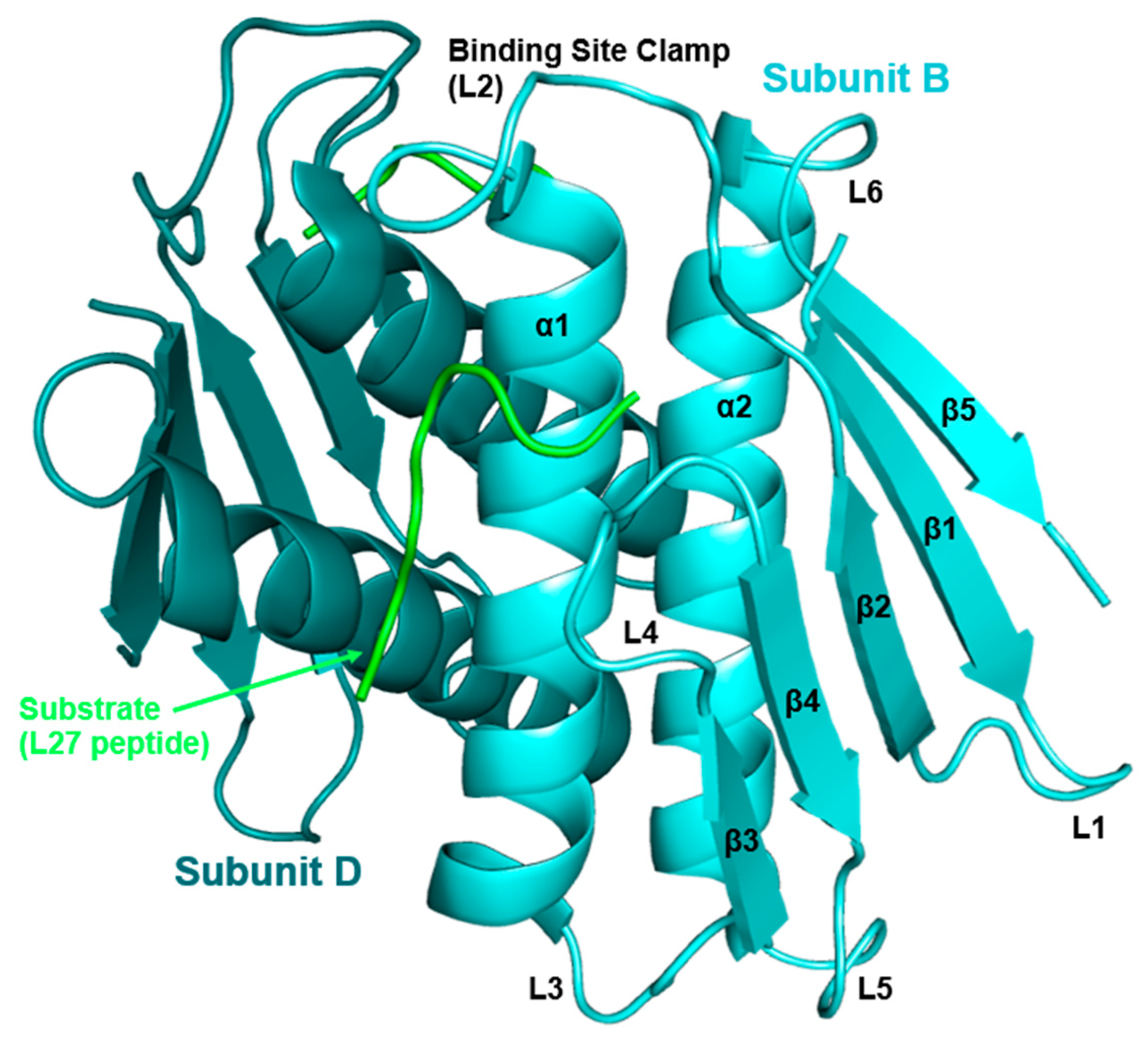 Antibiotics 11 01109 g004