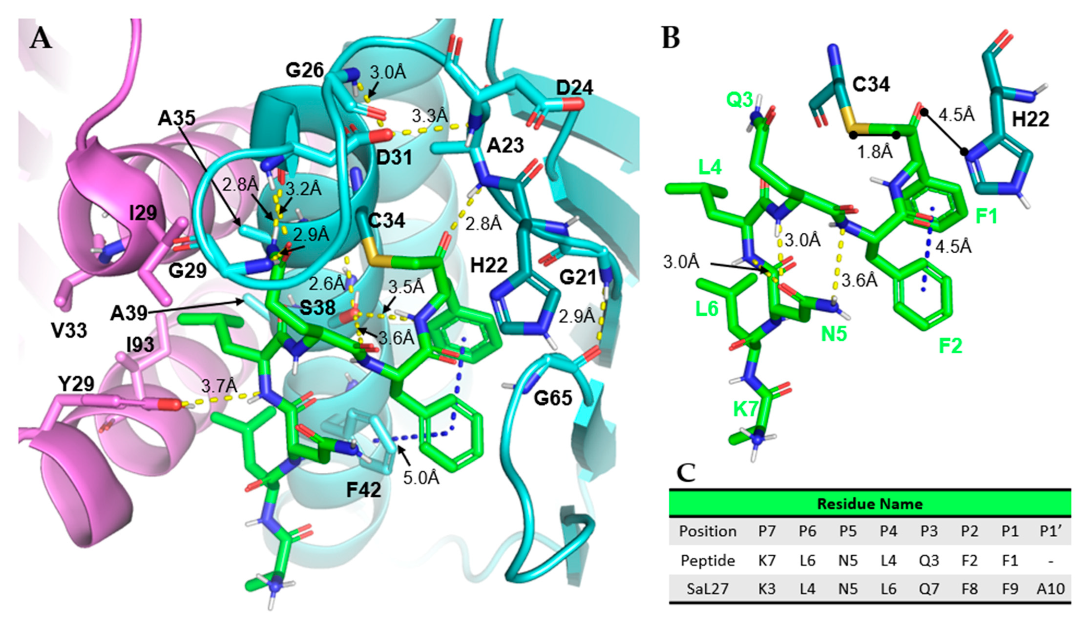 Antibiotics 11 01109 g006