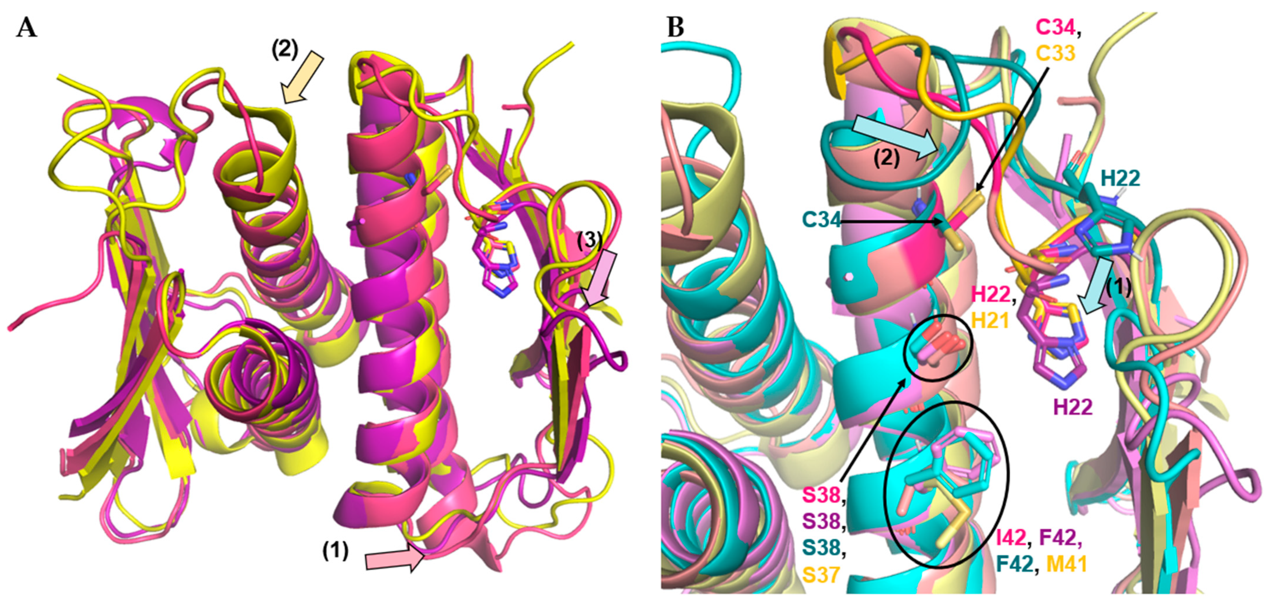 Antibiotics 11 01109 g007