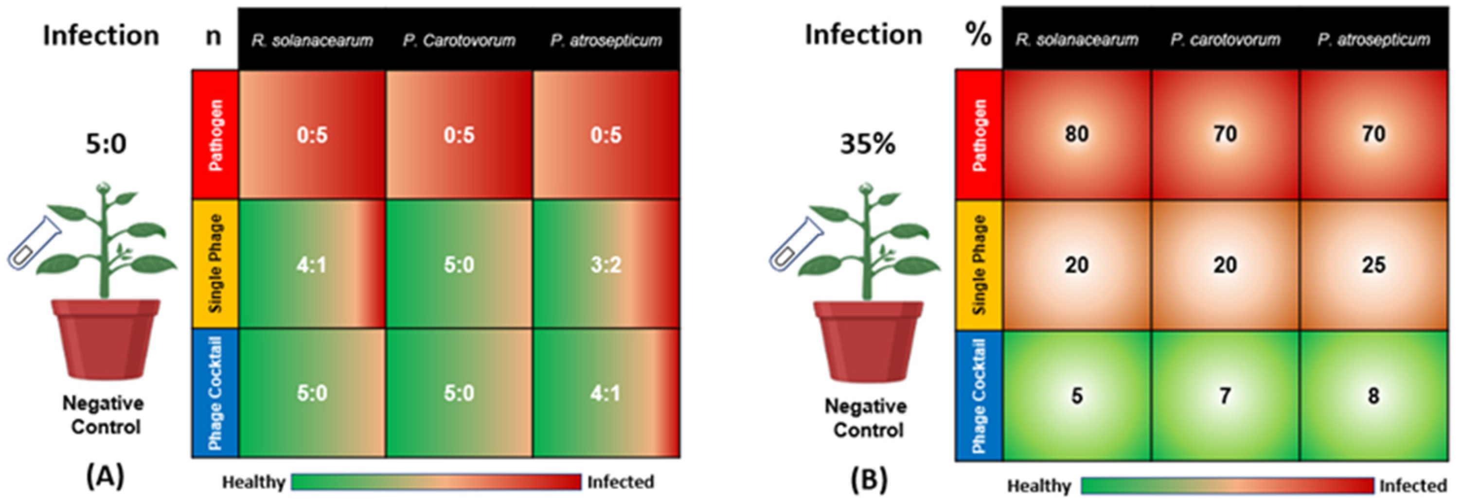 Antibiotics 11 01117 g001 550