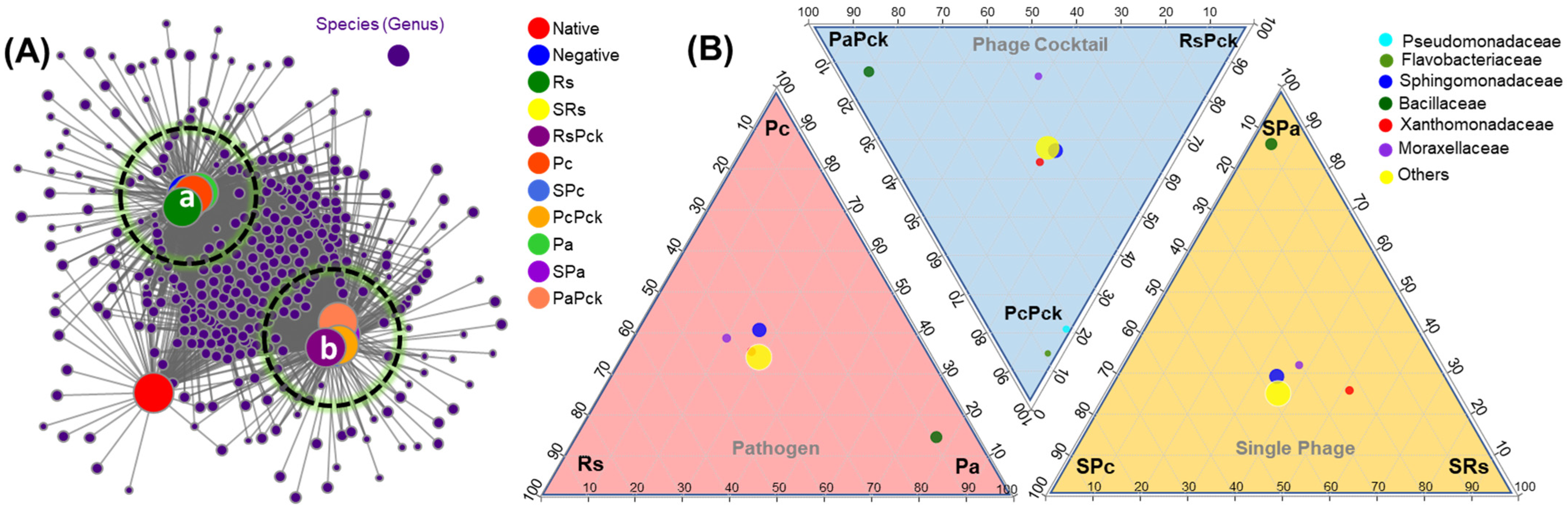 Antibiotics 11 01117 g004 550
