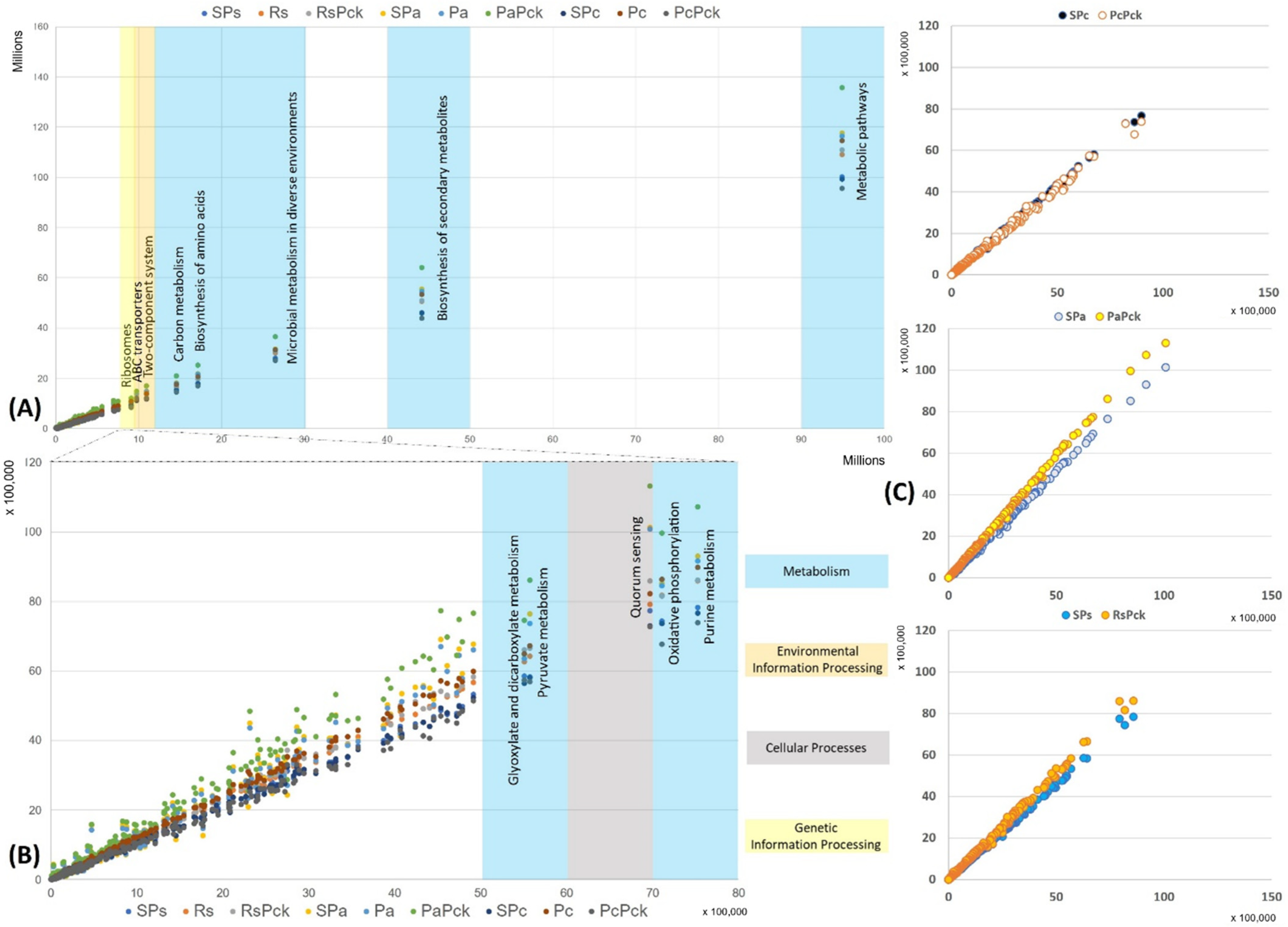 Antibiotics 11 01117 g006 550