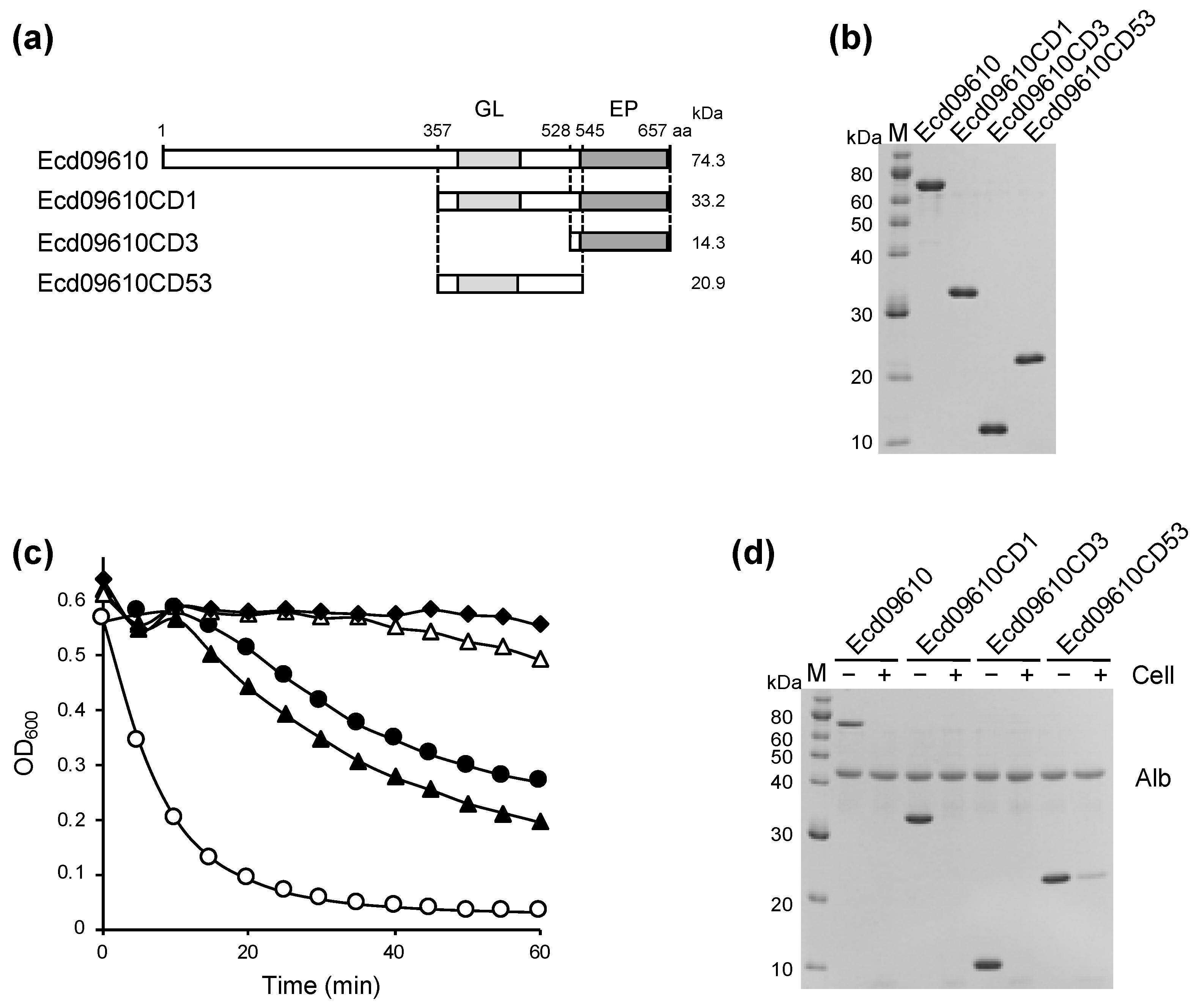 Antibiotics 11 01131 g001 Antibiotics 11 01131 g001