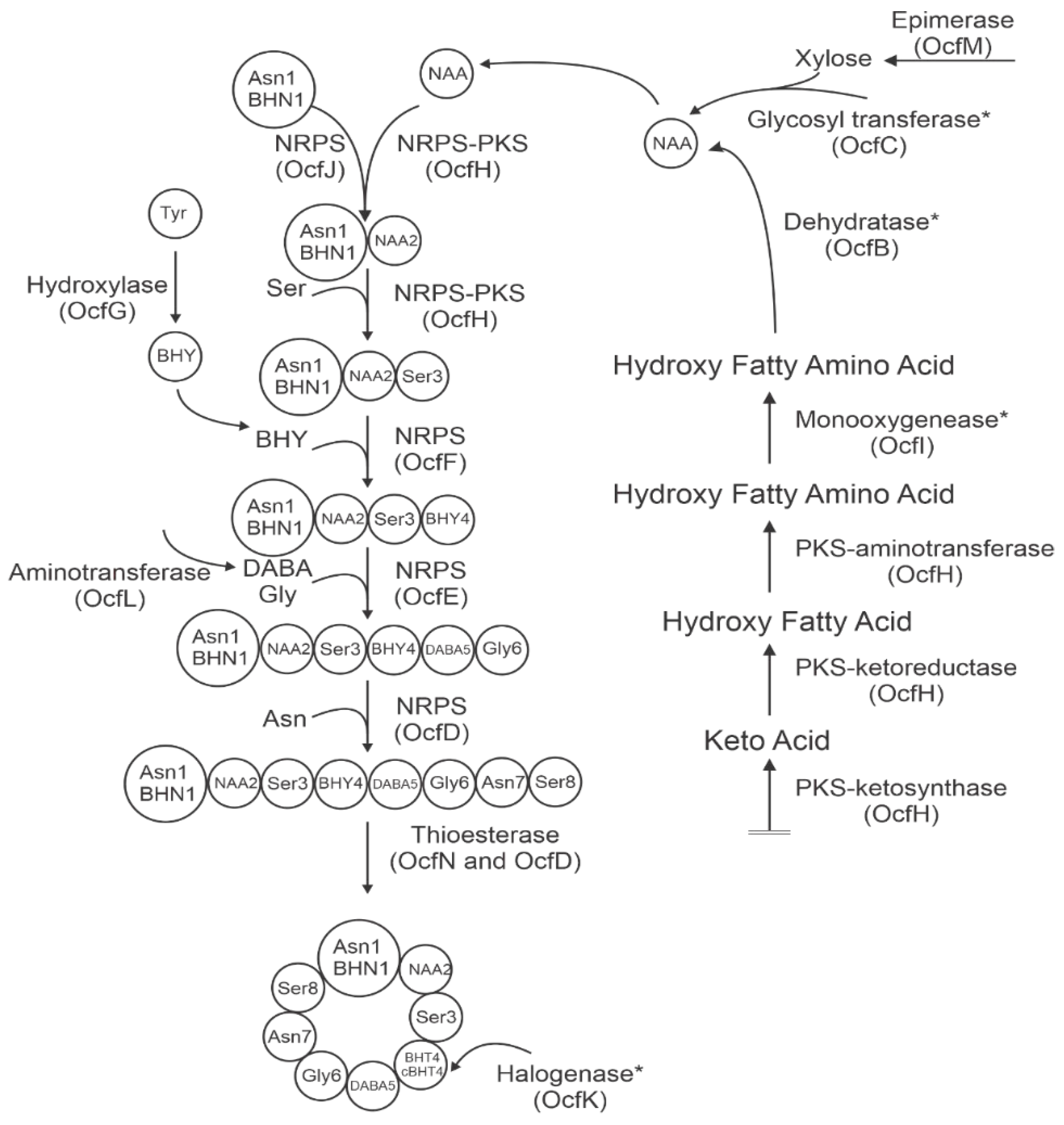 Antibiotics 11 01143 g002 550