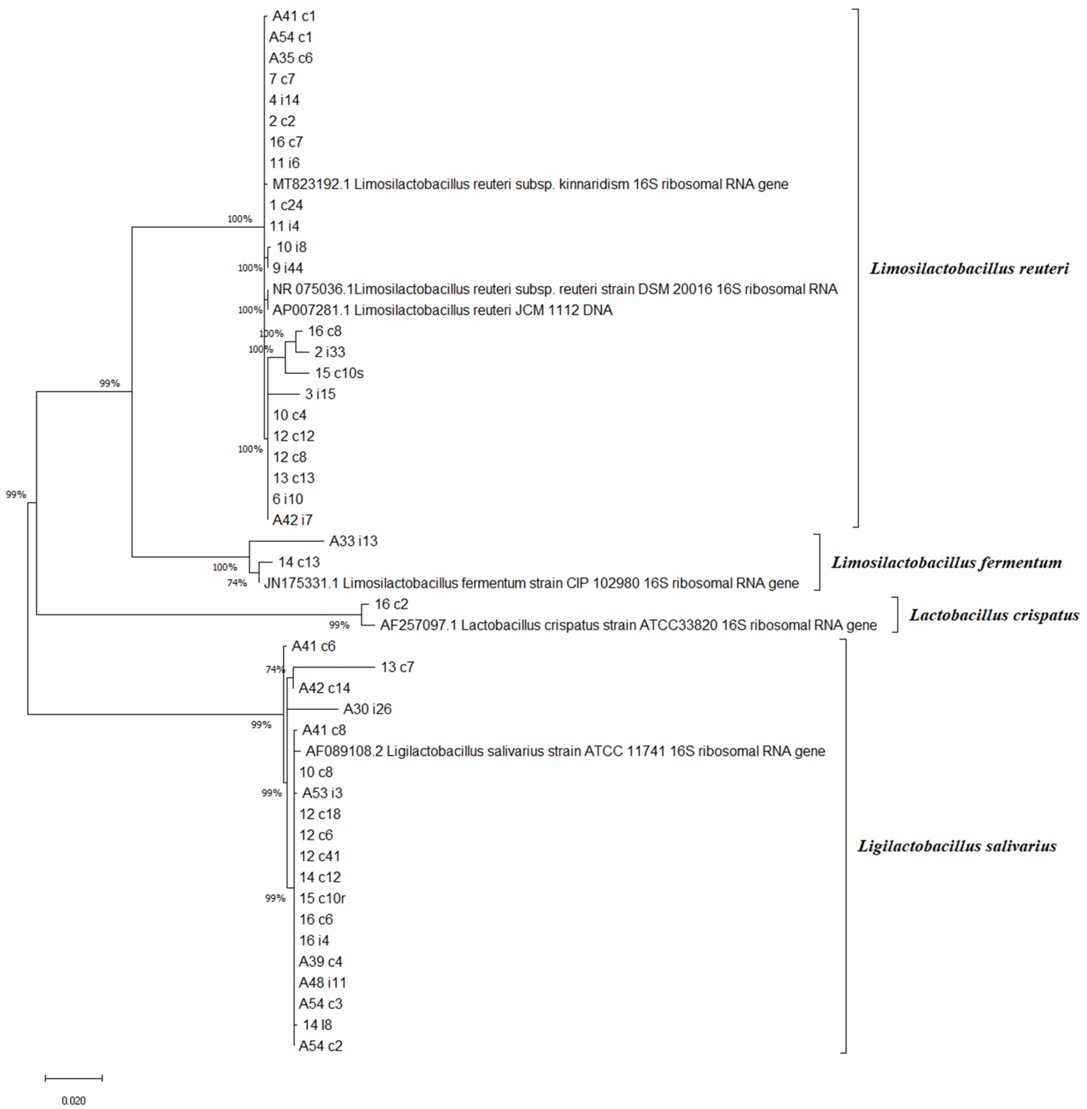 Antibiotics 11 01147 g001