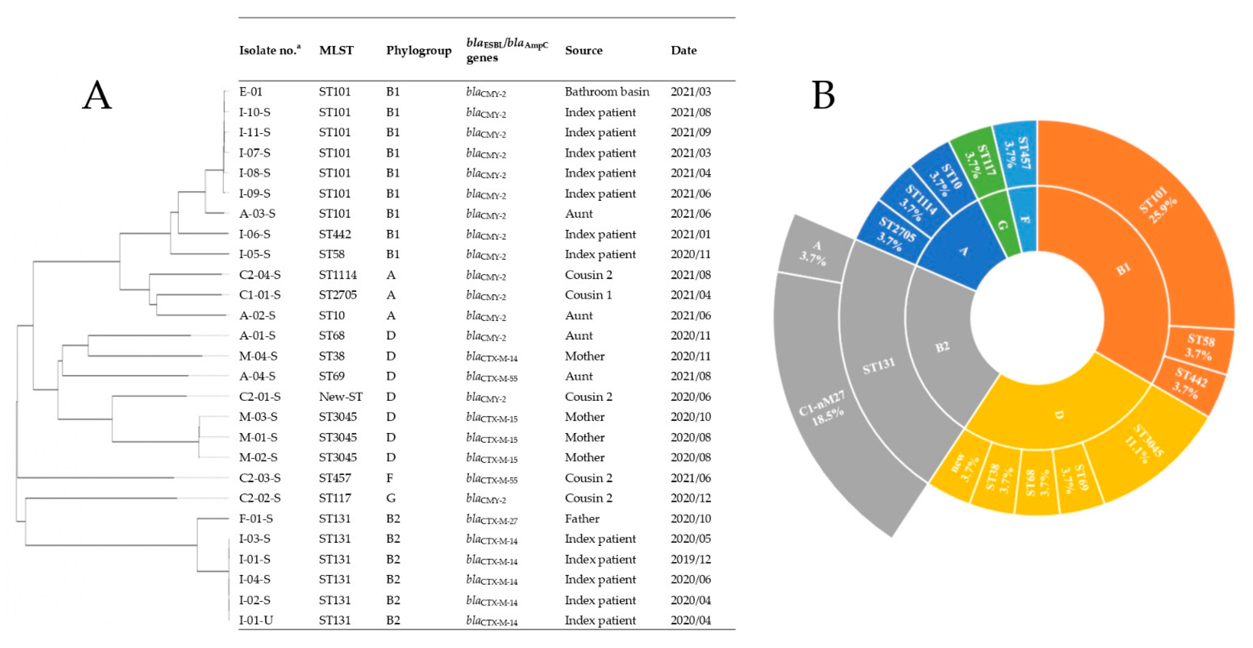 Antibiotics 11 01152 g001