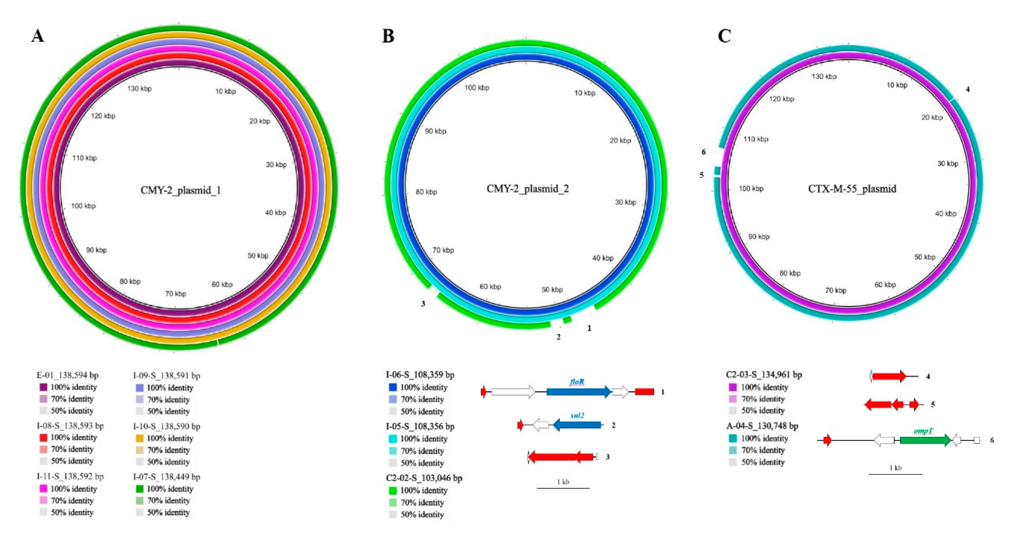 Antibiotics 11 01152 g004