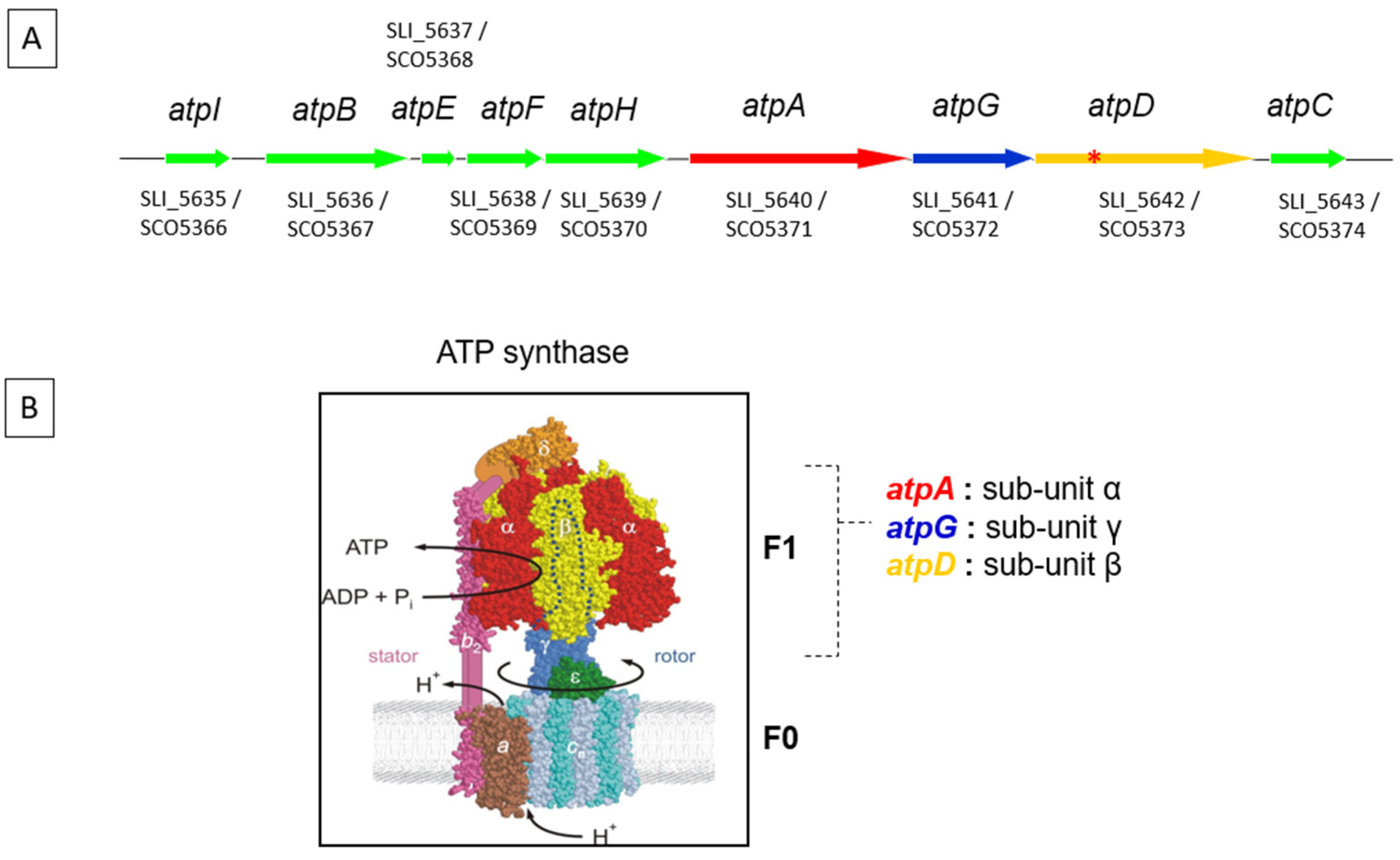 Antibiotics 11 01157 g001 550