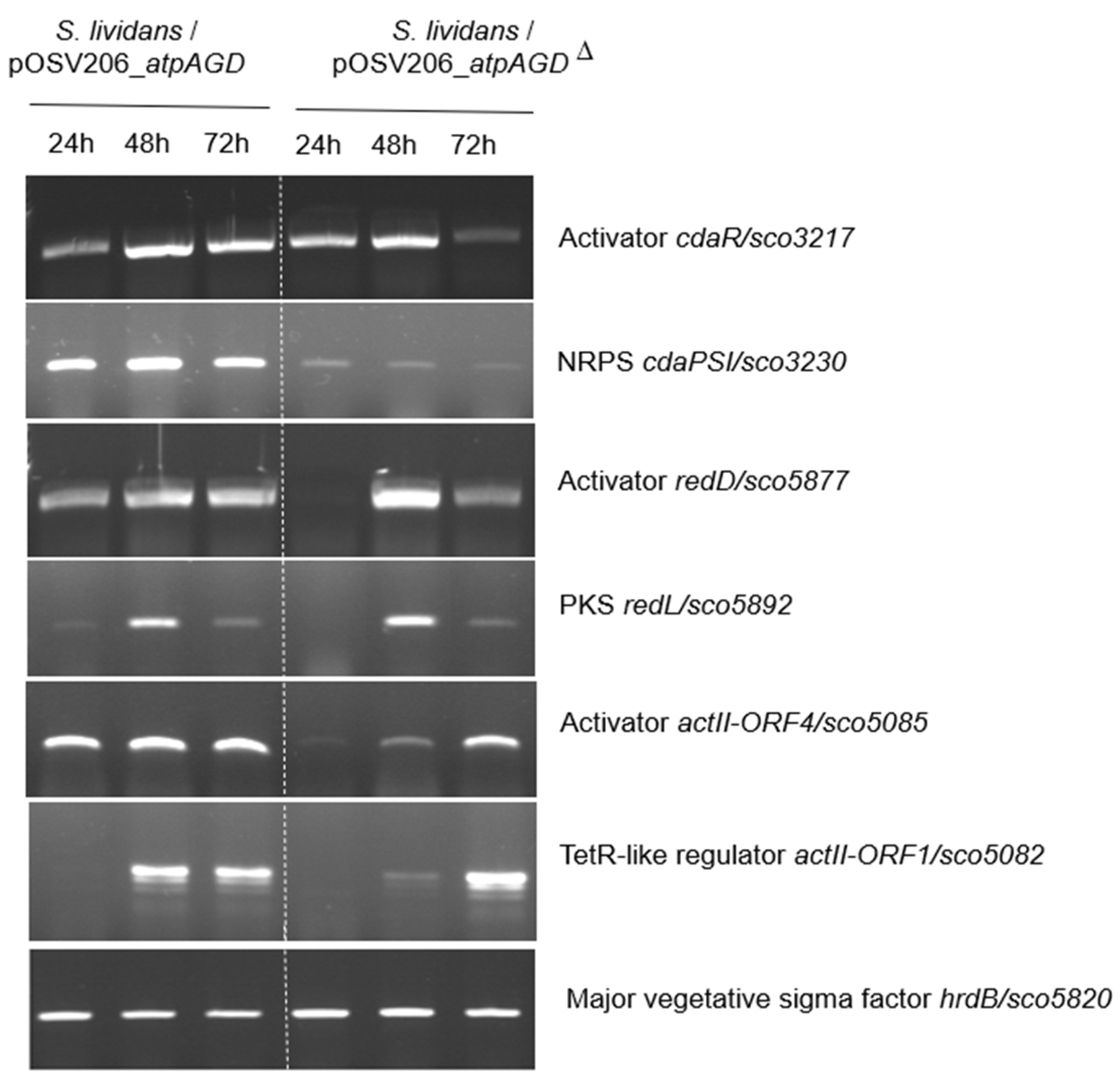 Antibiotics 11 01157 g003 550