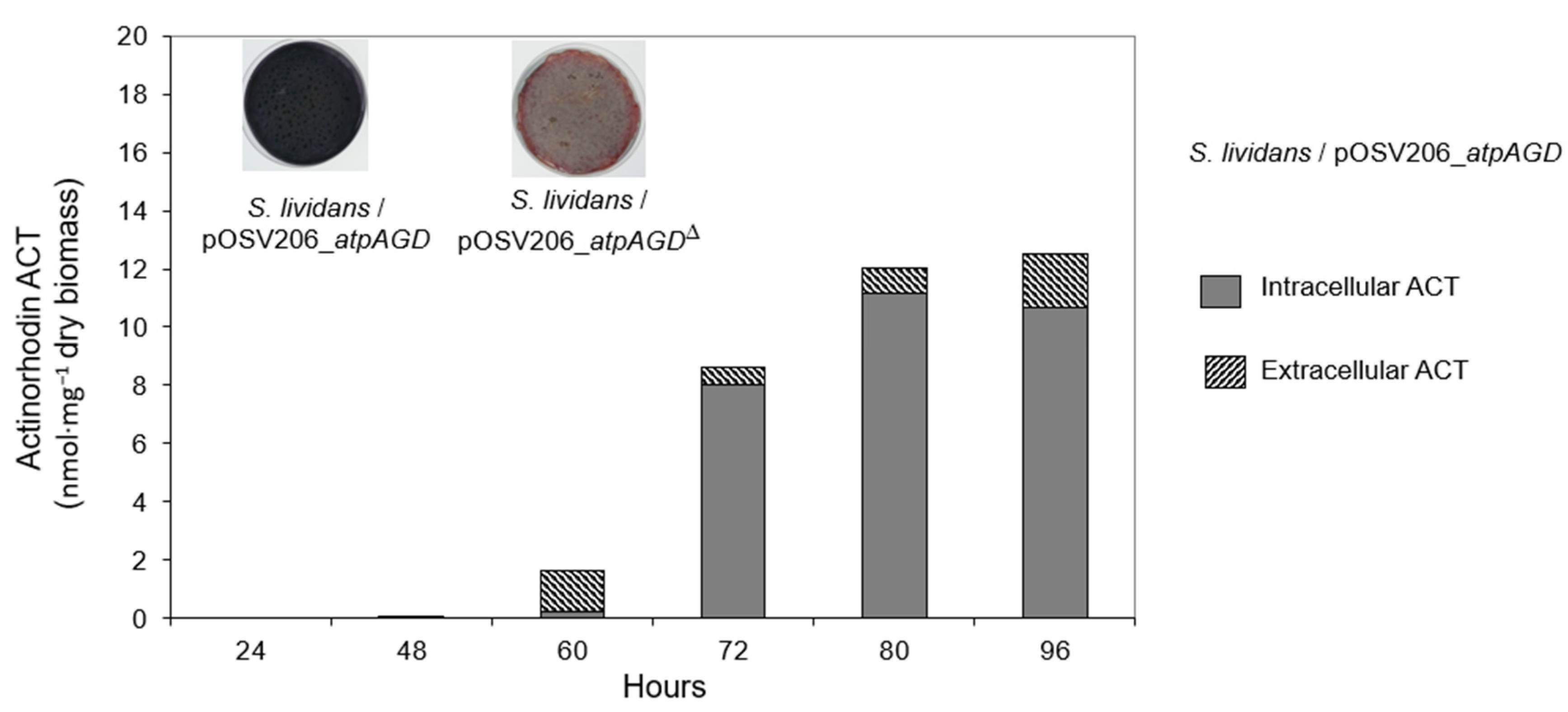 Antibiotics 11 01157 g005 550
