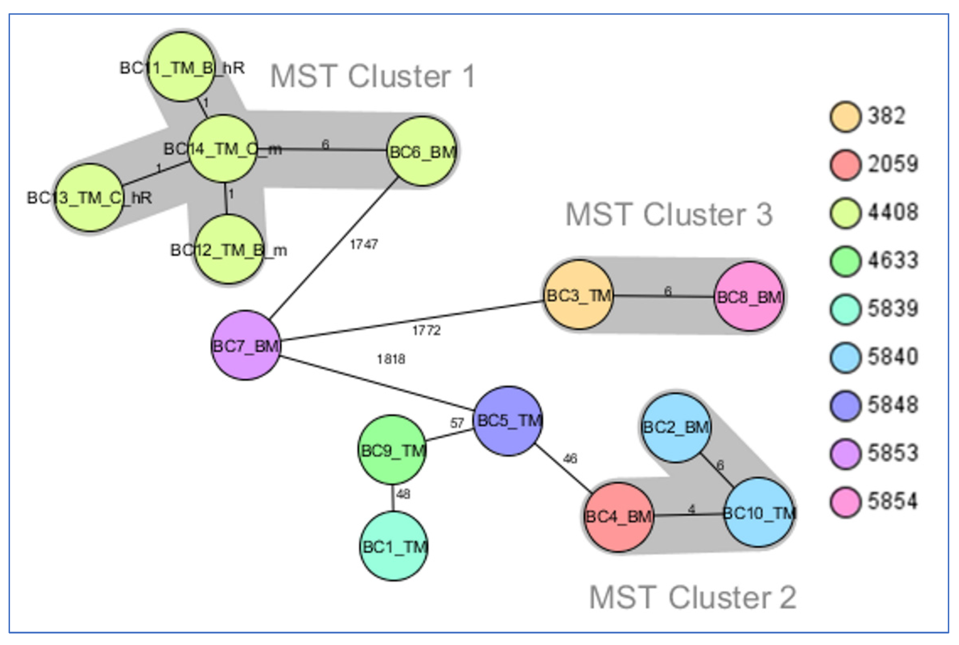 Antibiotics 11 01171 g001