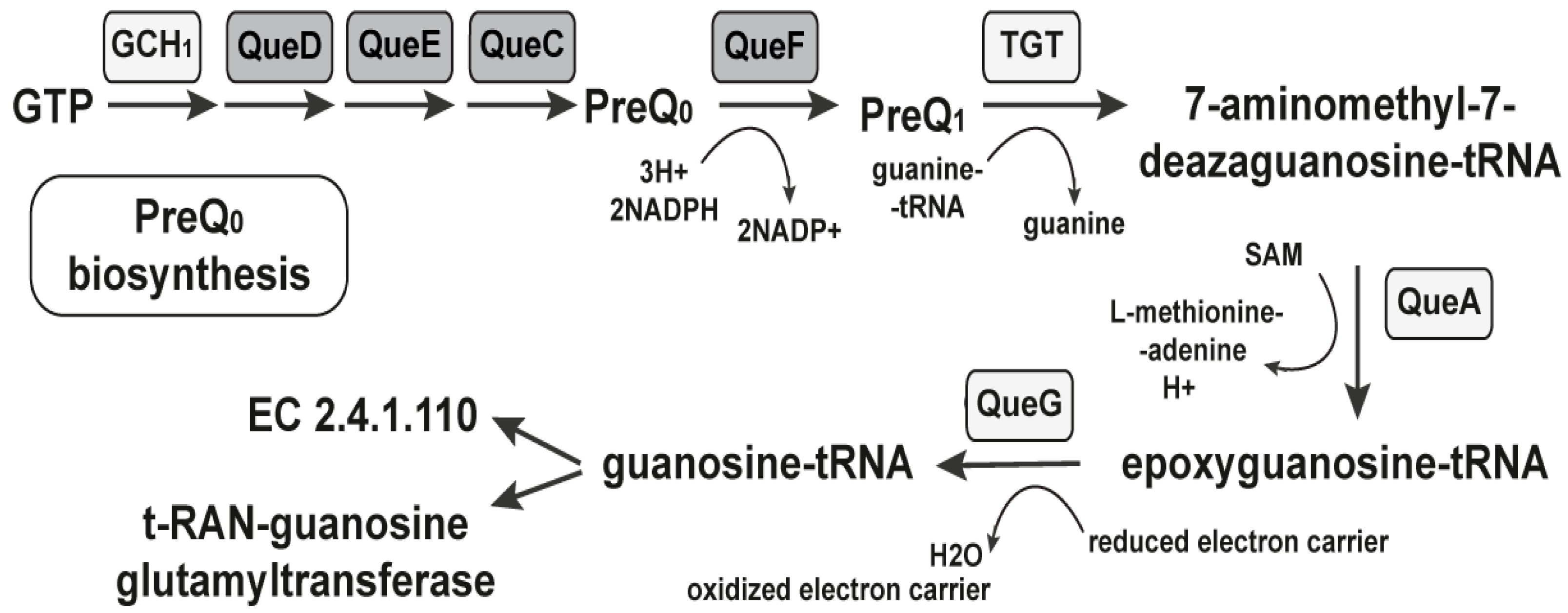 Antibiotics 11 01177 g002