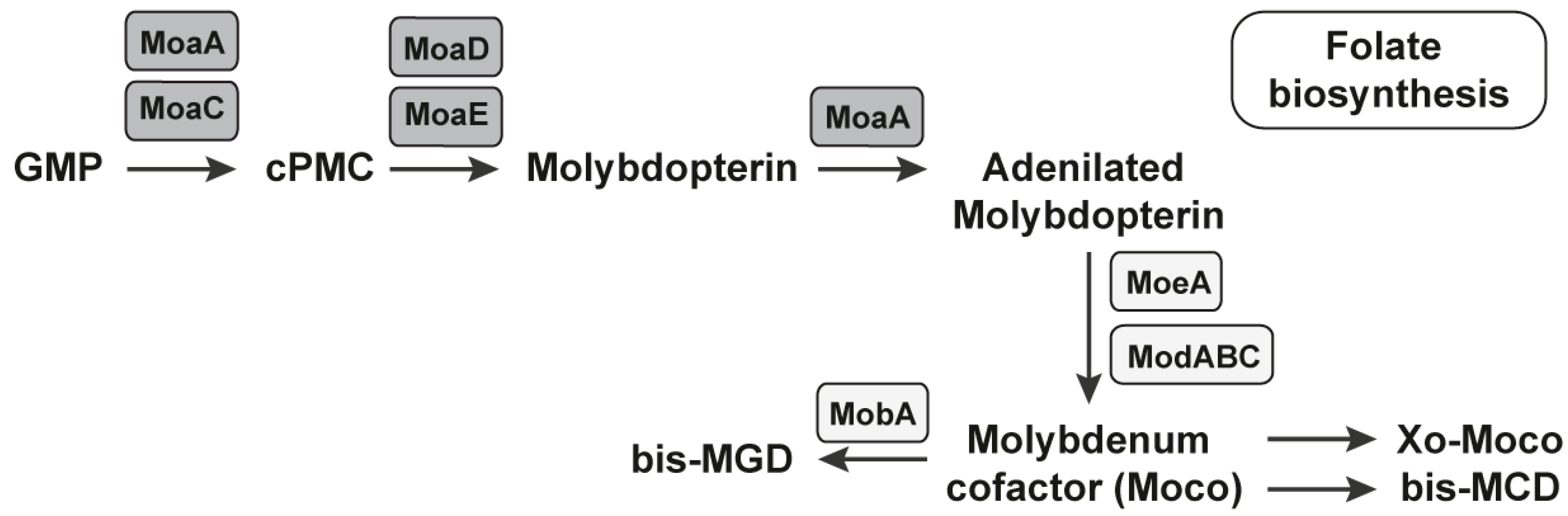 Antibiotics 11 01177 g003