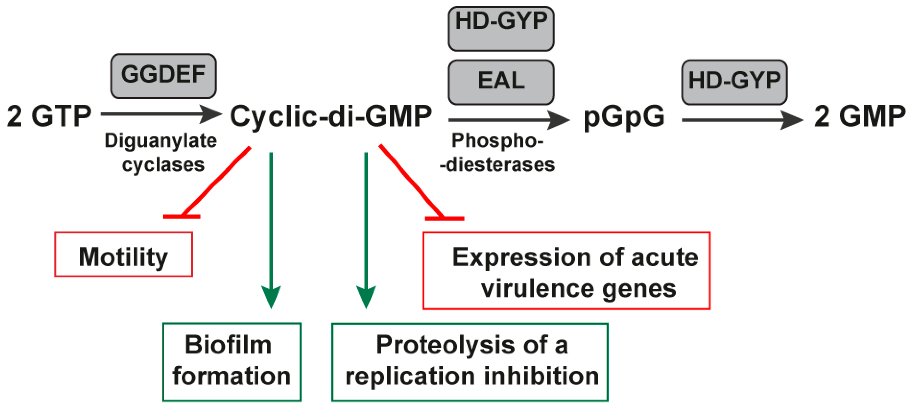 Antibiotics 11 01177 g004