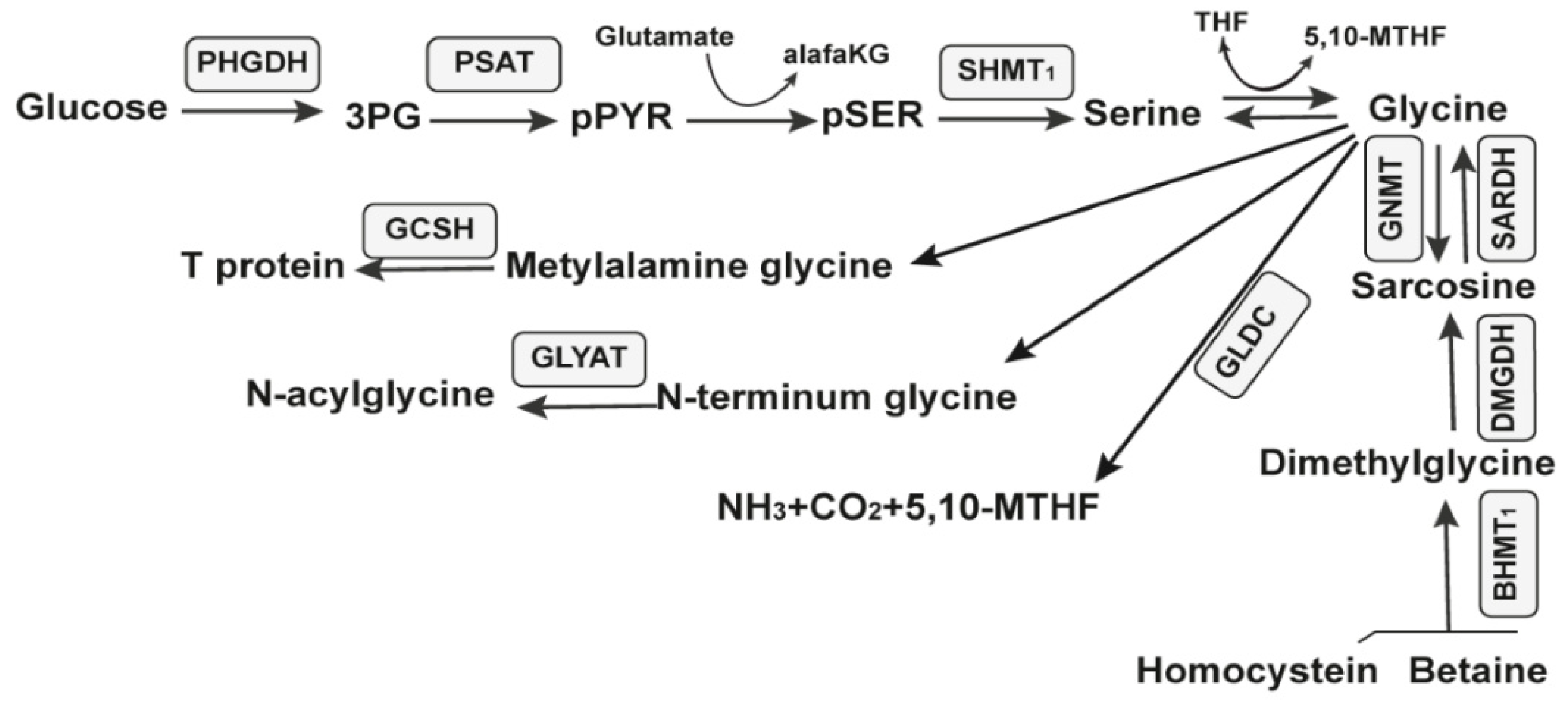Antibiotics 11 01177 g006