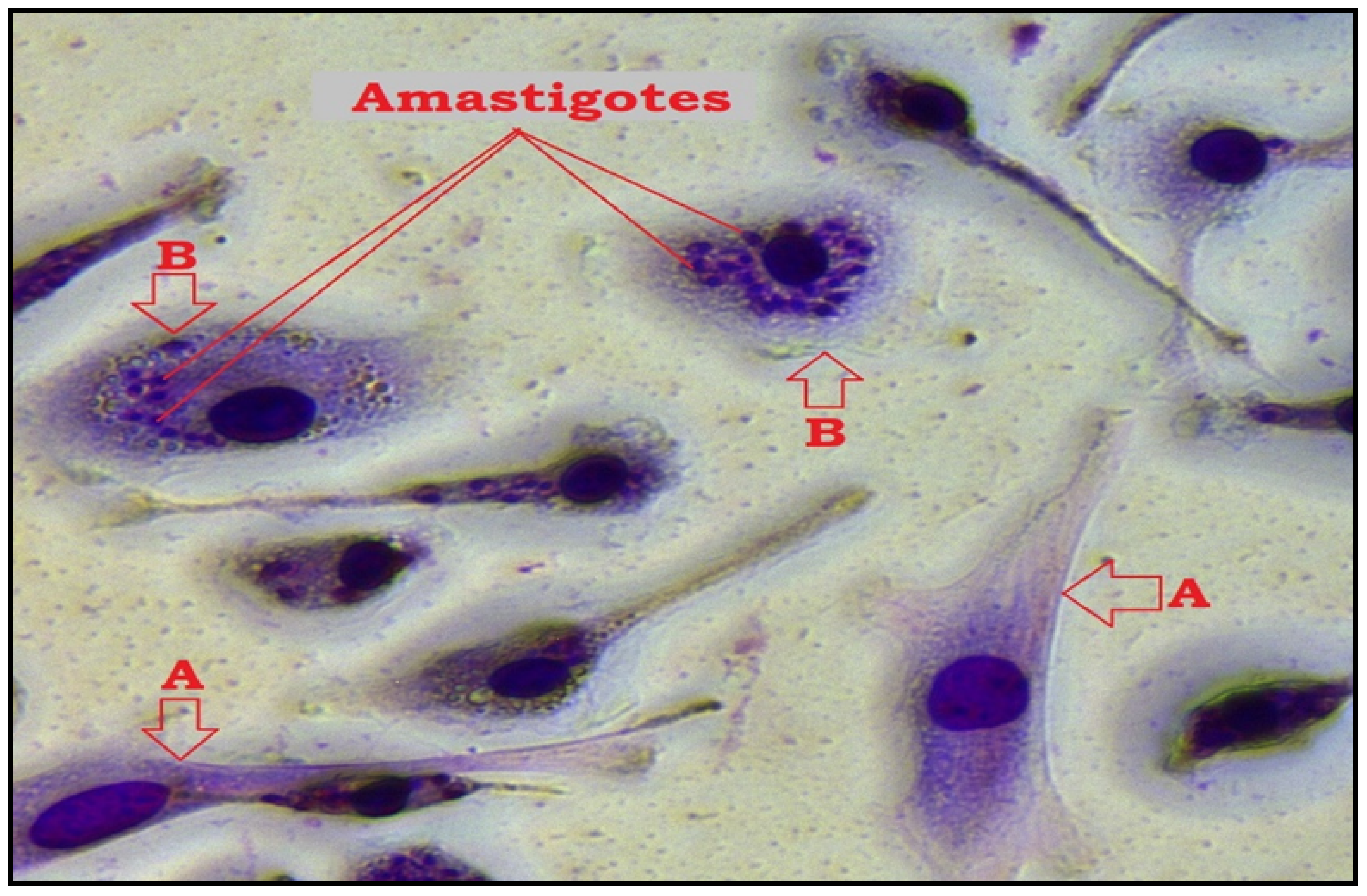 Antibiotics 11 01206 g004 550