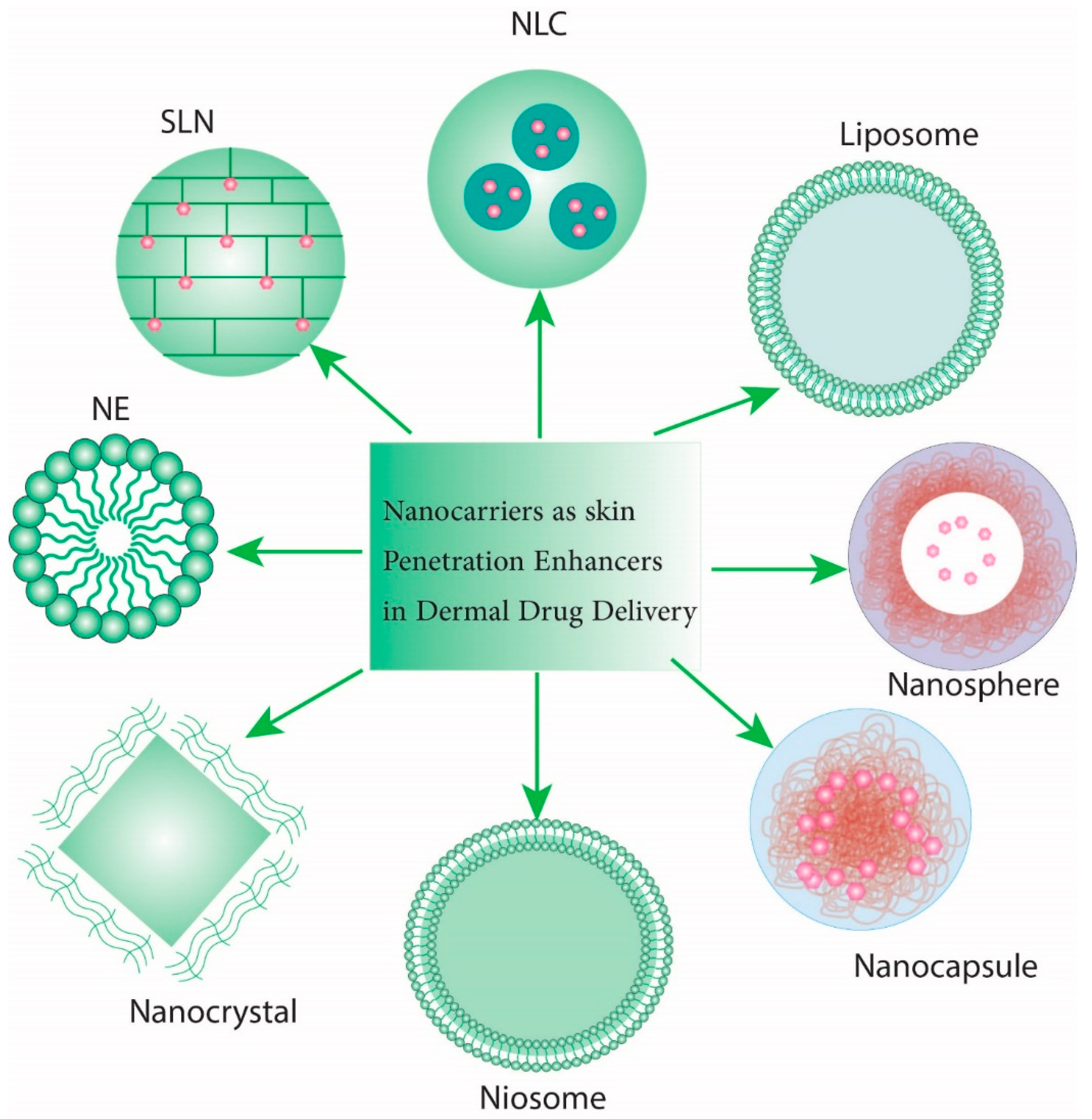 Antibiotics 11 01208 g003 550