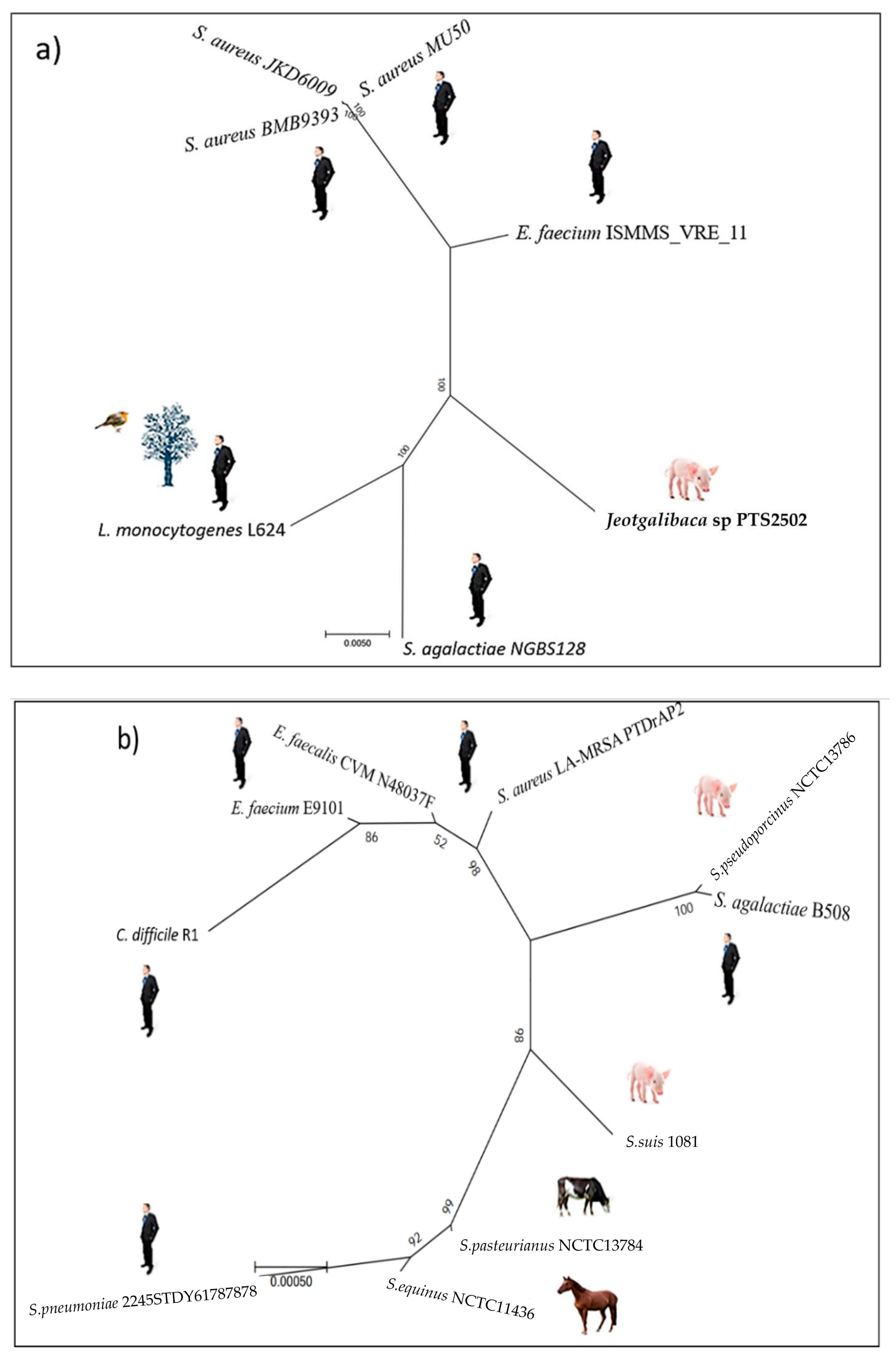 Antibiotics 11 01217 g001 550