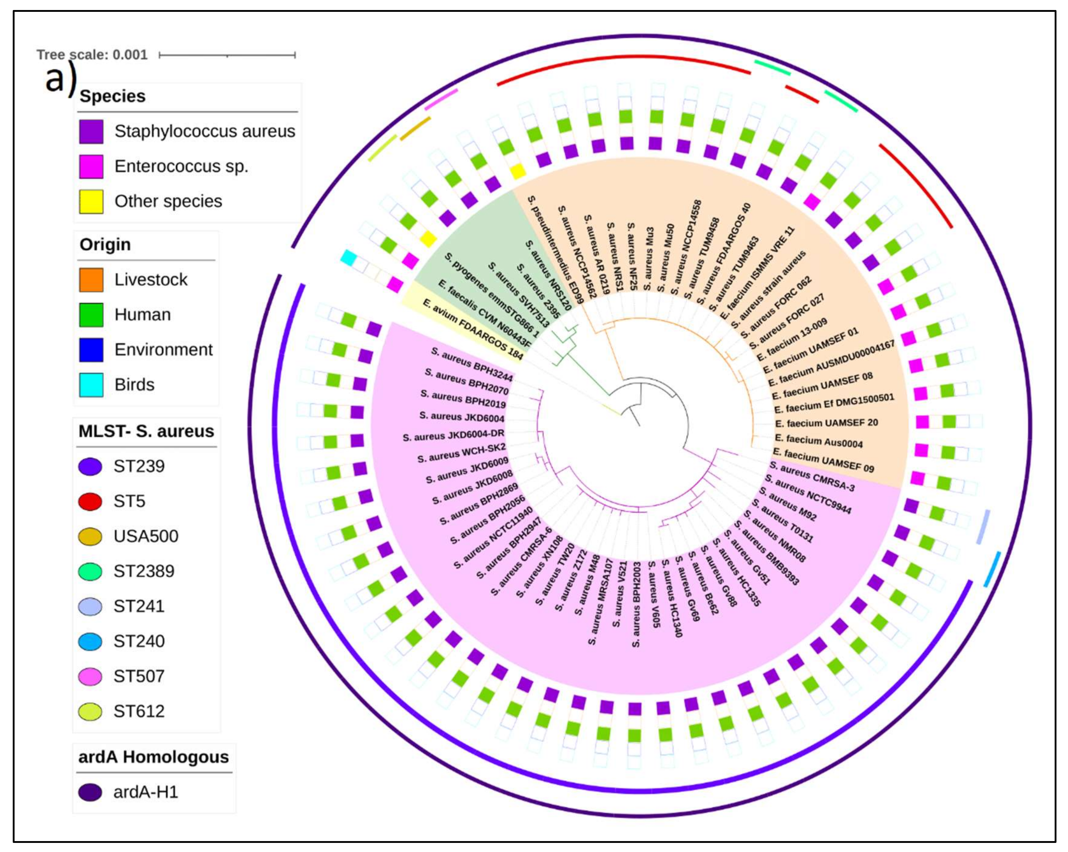 Antibiotics 11 01217 g003a 550