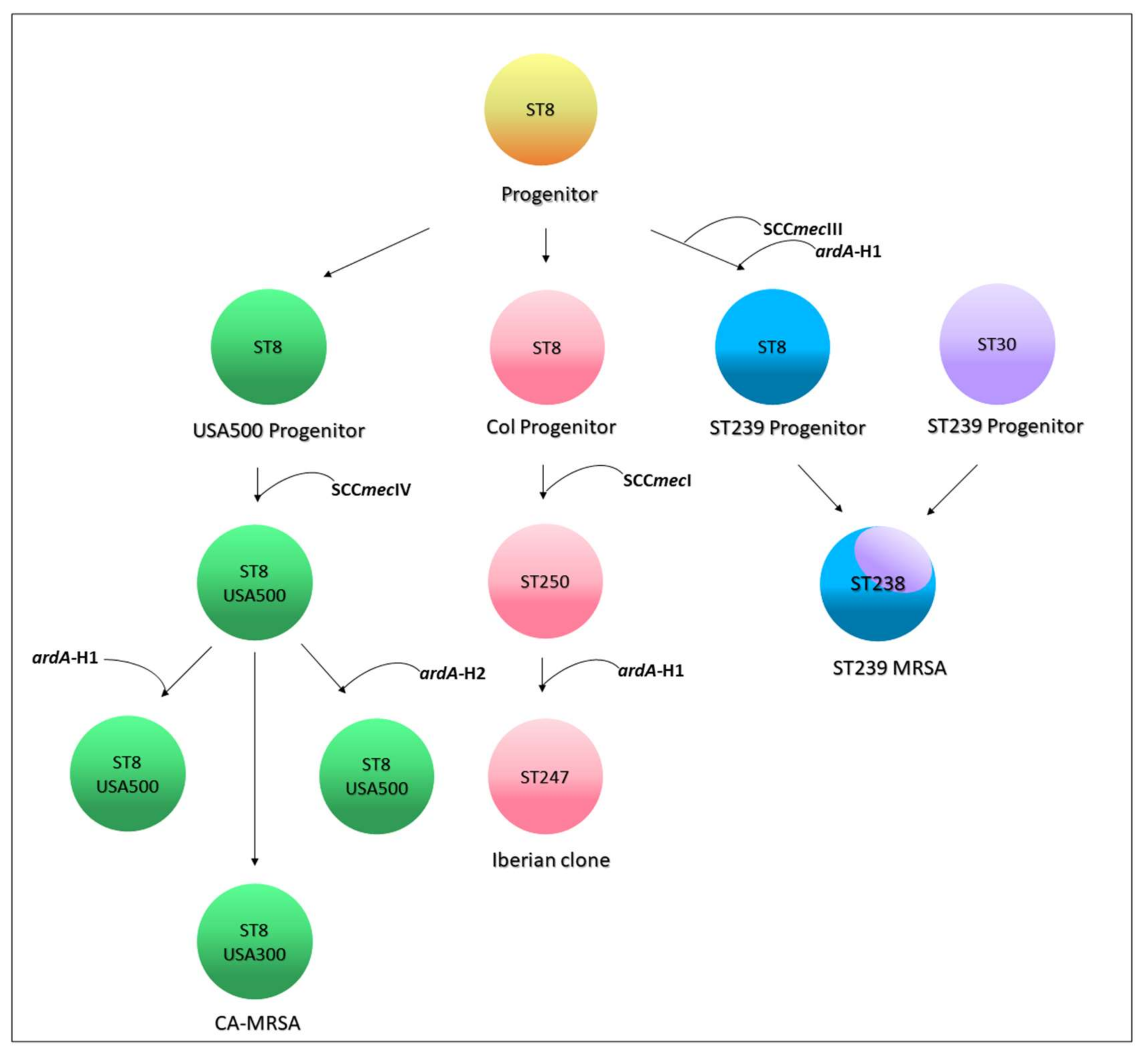 Antibiotics 11 01217 g005 550