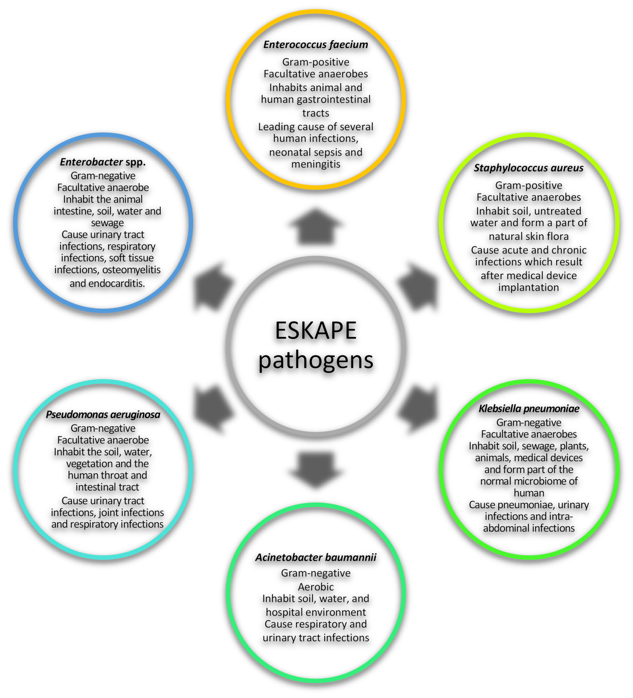 Antibiotics 11 01218 g001 550