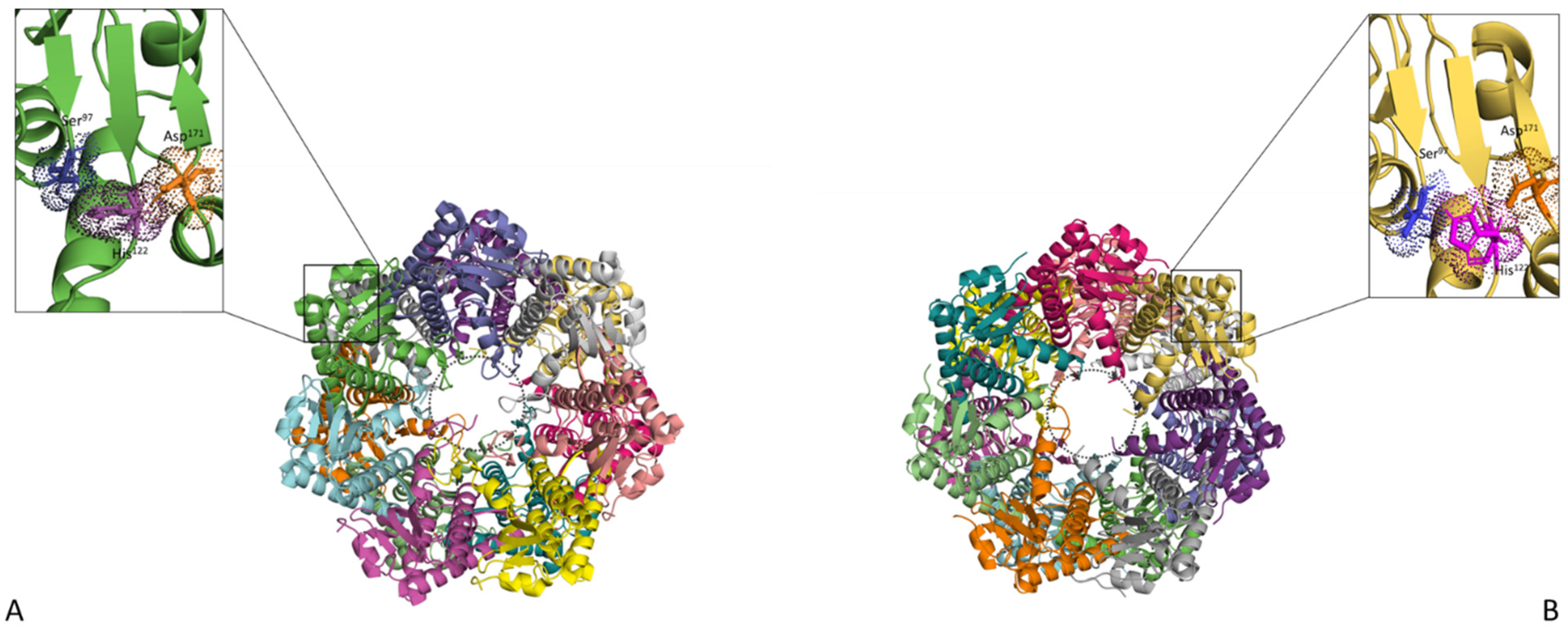 Antibiotics 11 01218 g002 550
