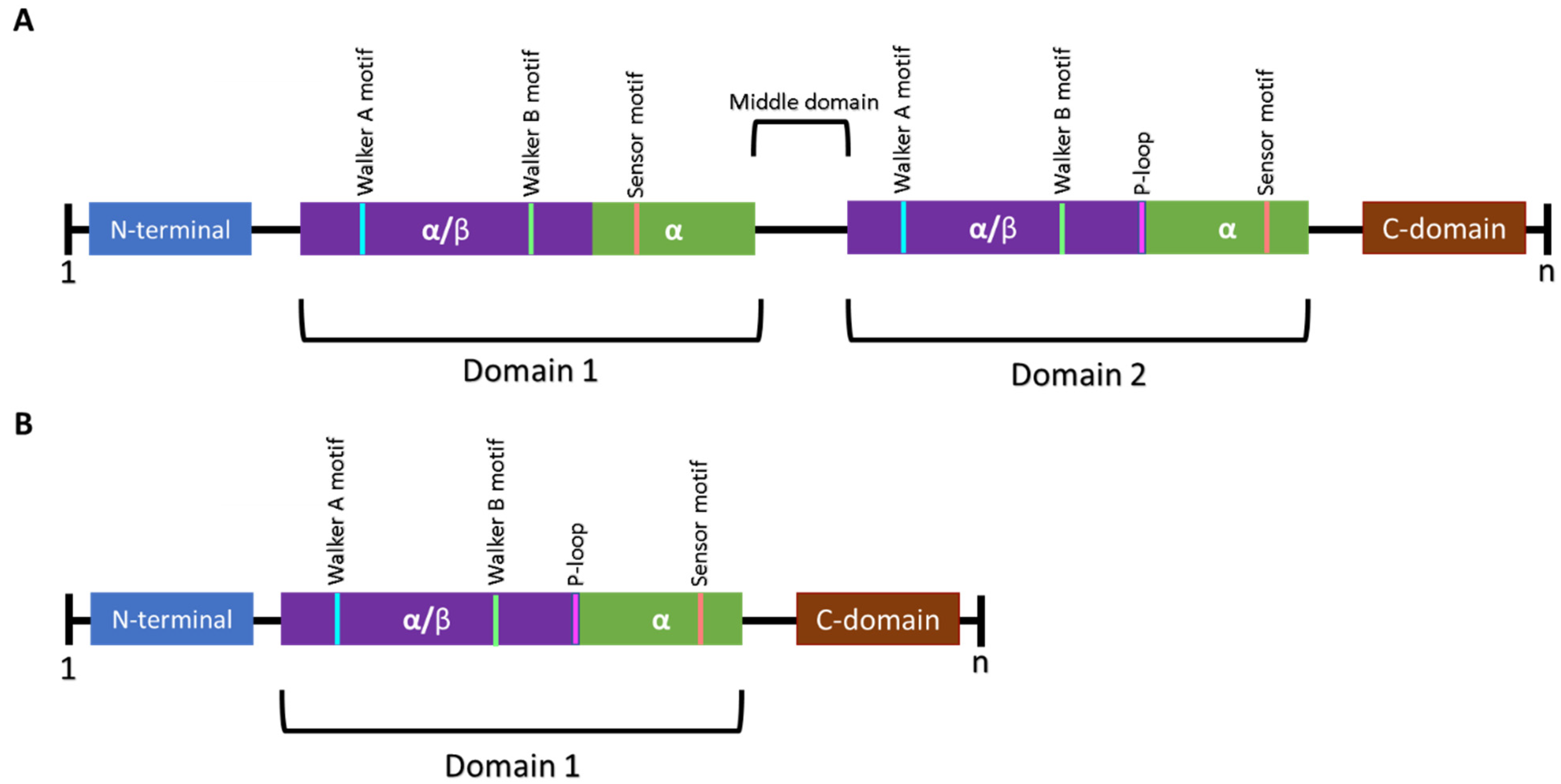 Antibiotics 11 01218 g003 550