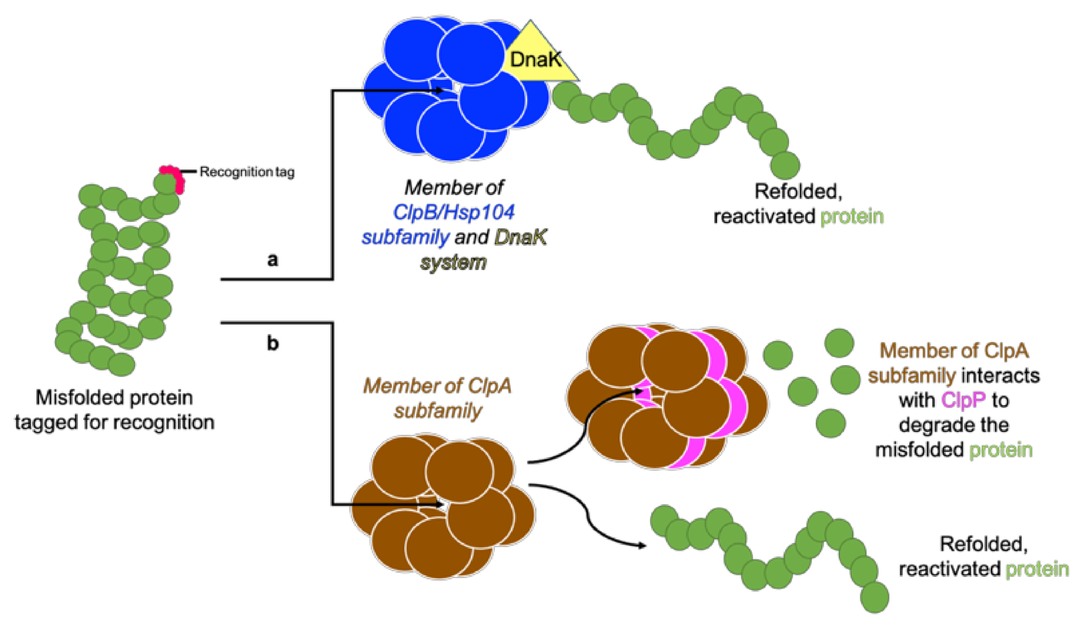Antibiotics 11 01218 g004 550