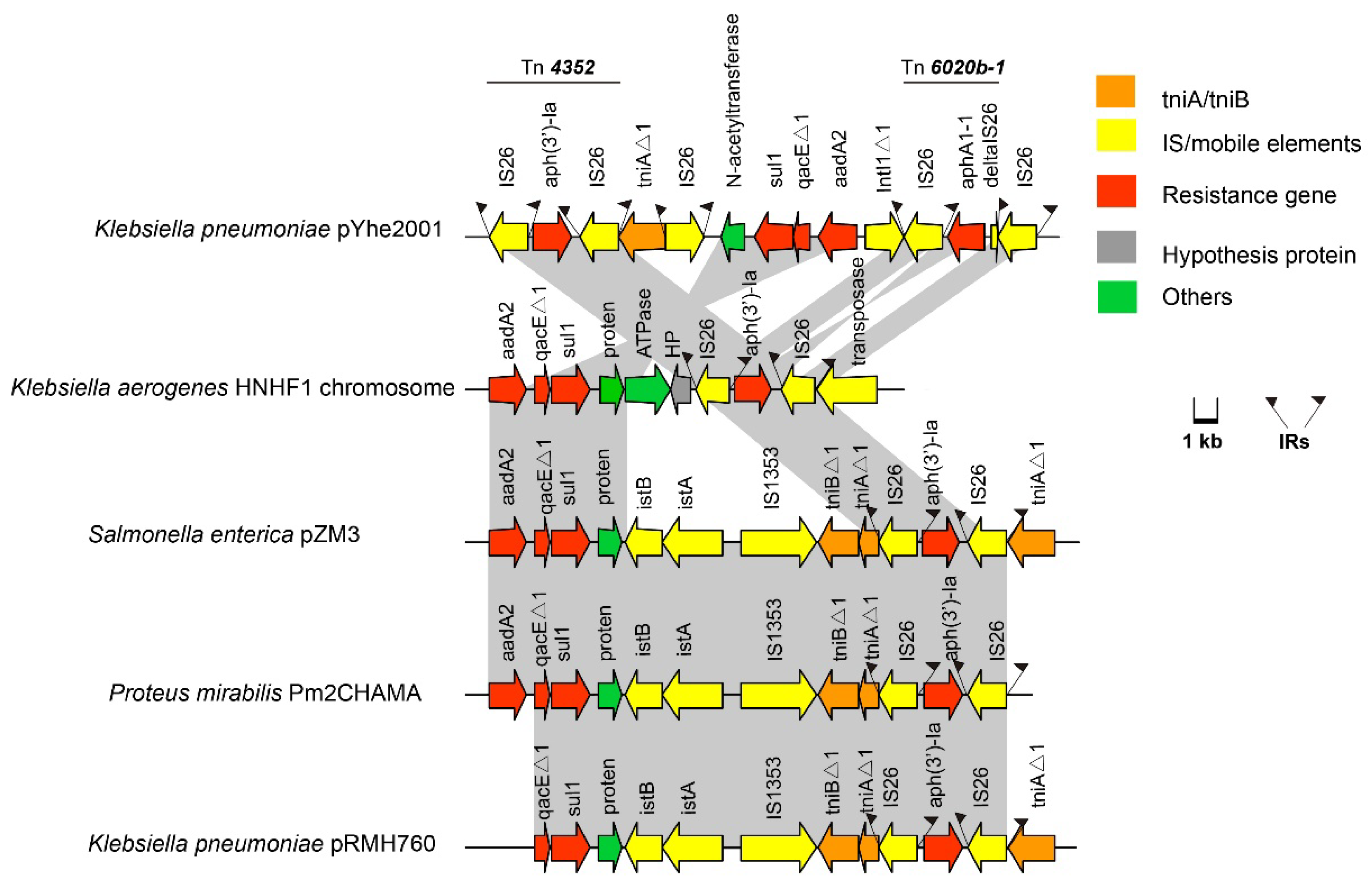 Antibiotics 11 01225 g003