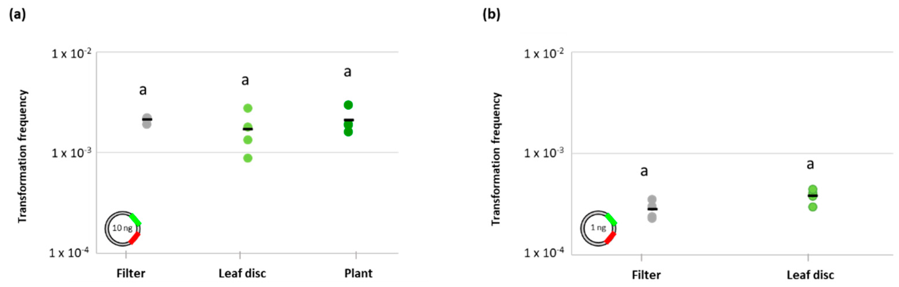 Antibiotics 11 01231 g003