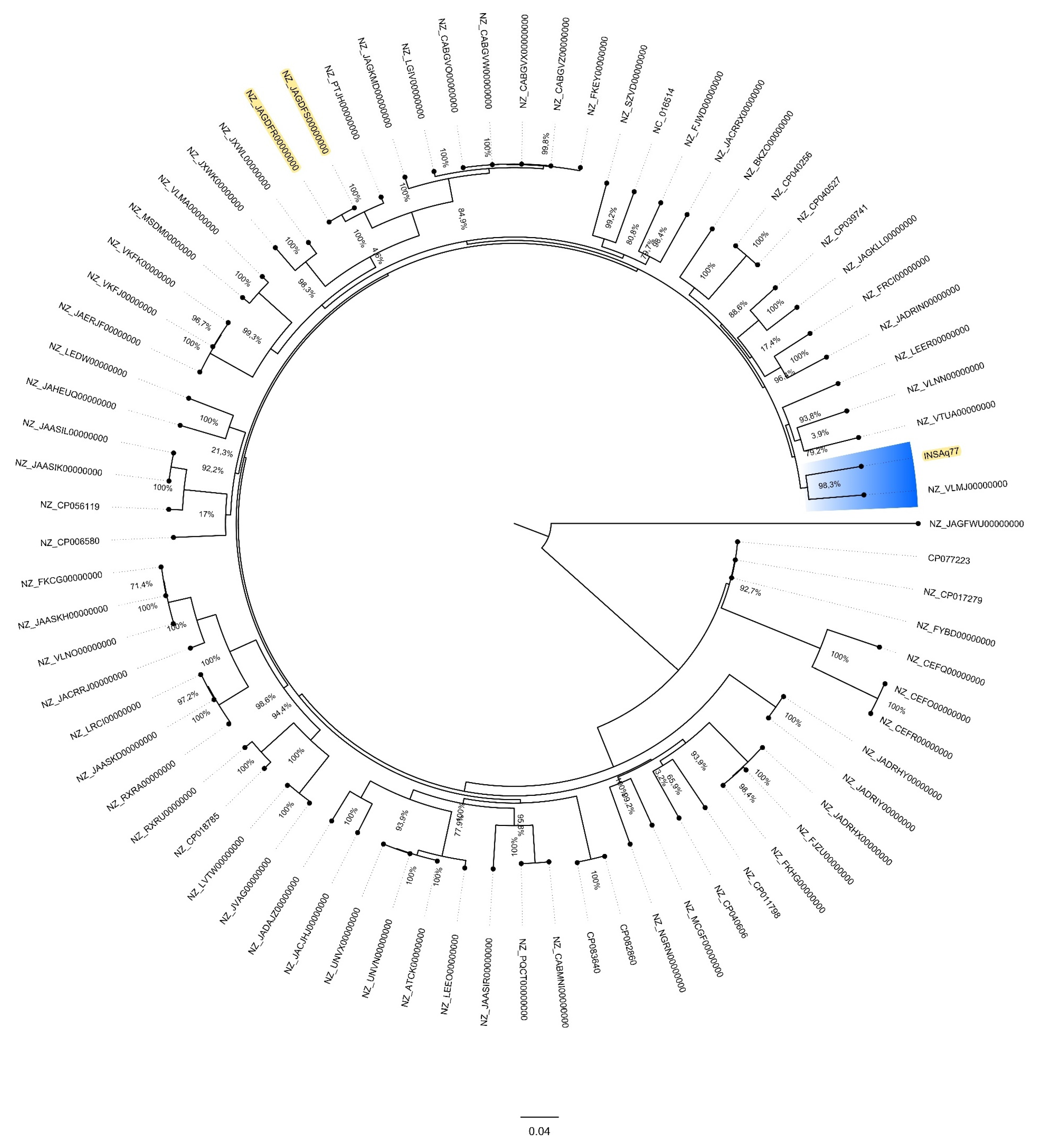 Antibiotics 11 01232 g001