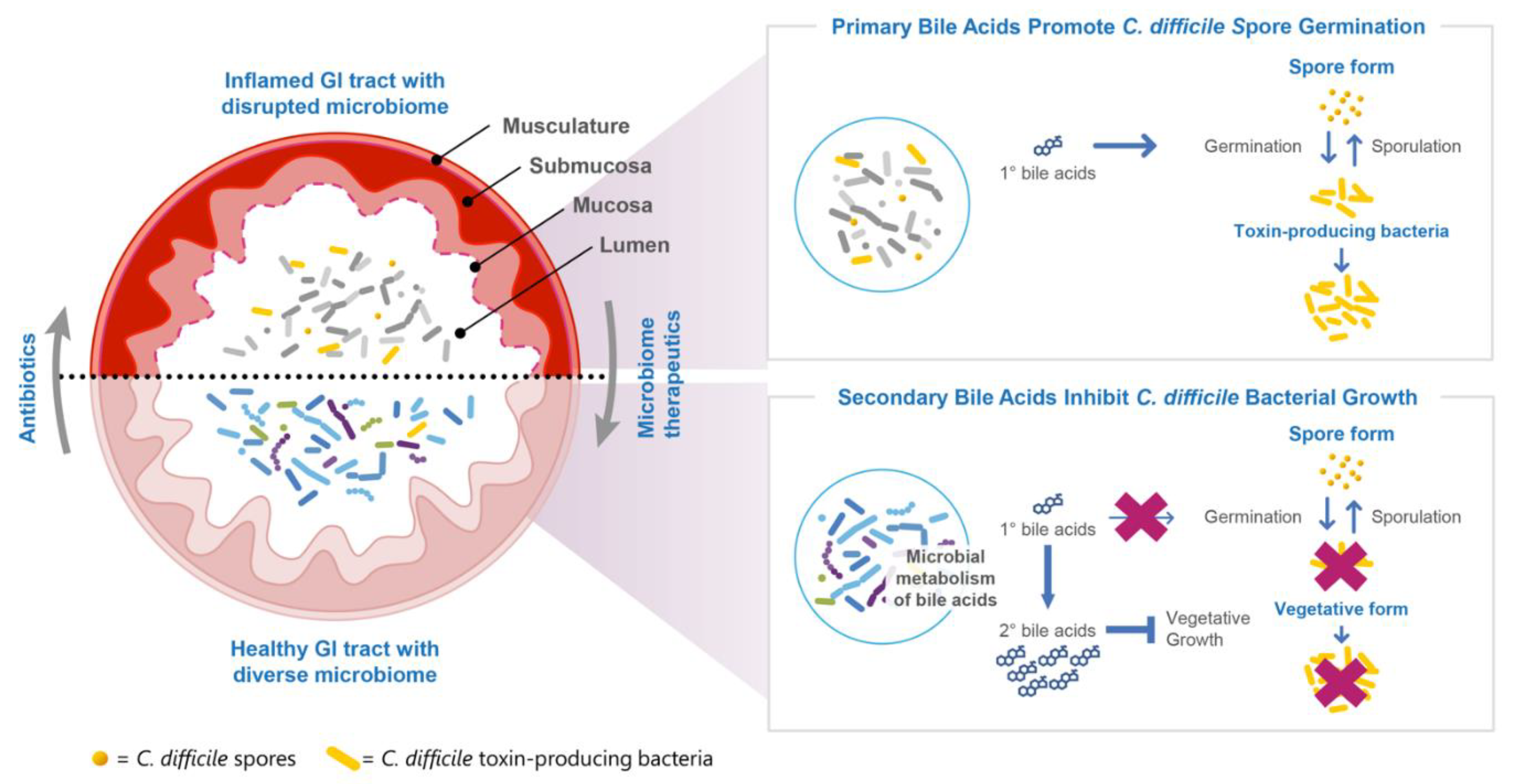 Antibiotics 11 01234 g003