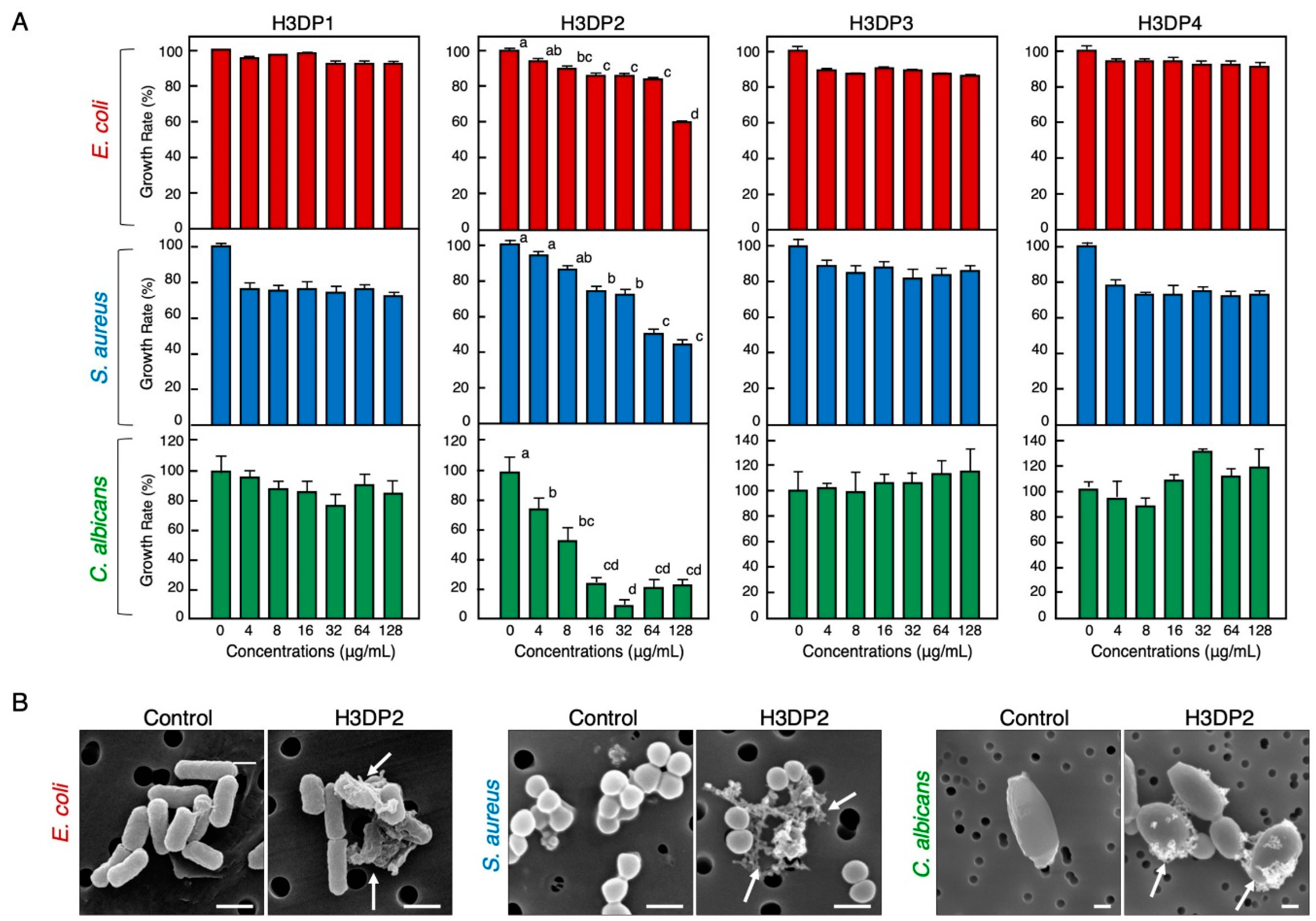 Antibiotics 11 01240 g005