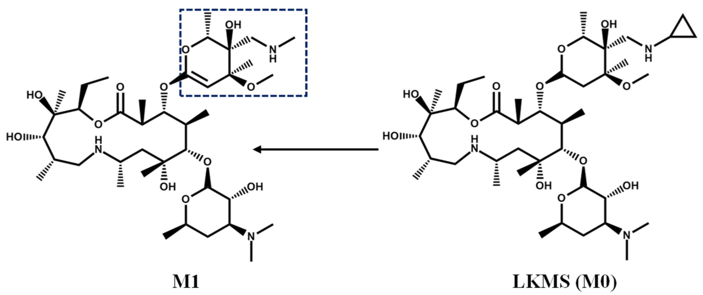 Antibiotics 11 01241 g005