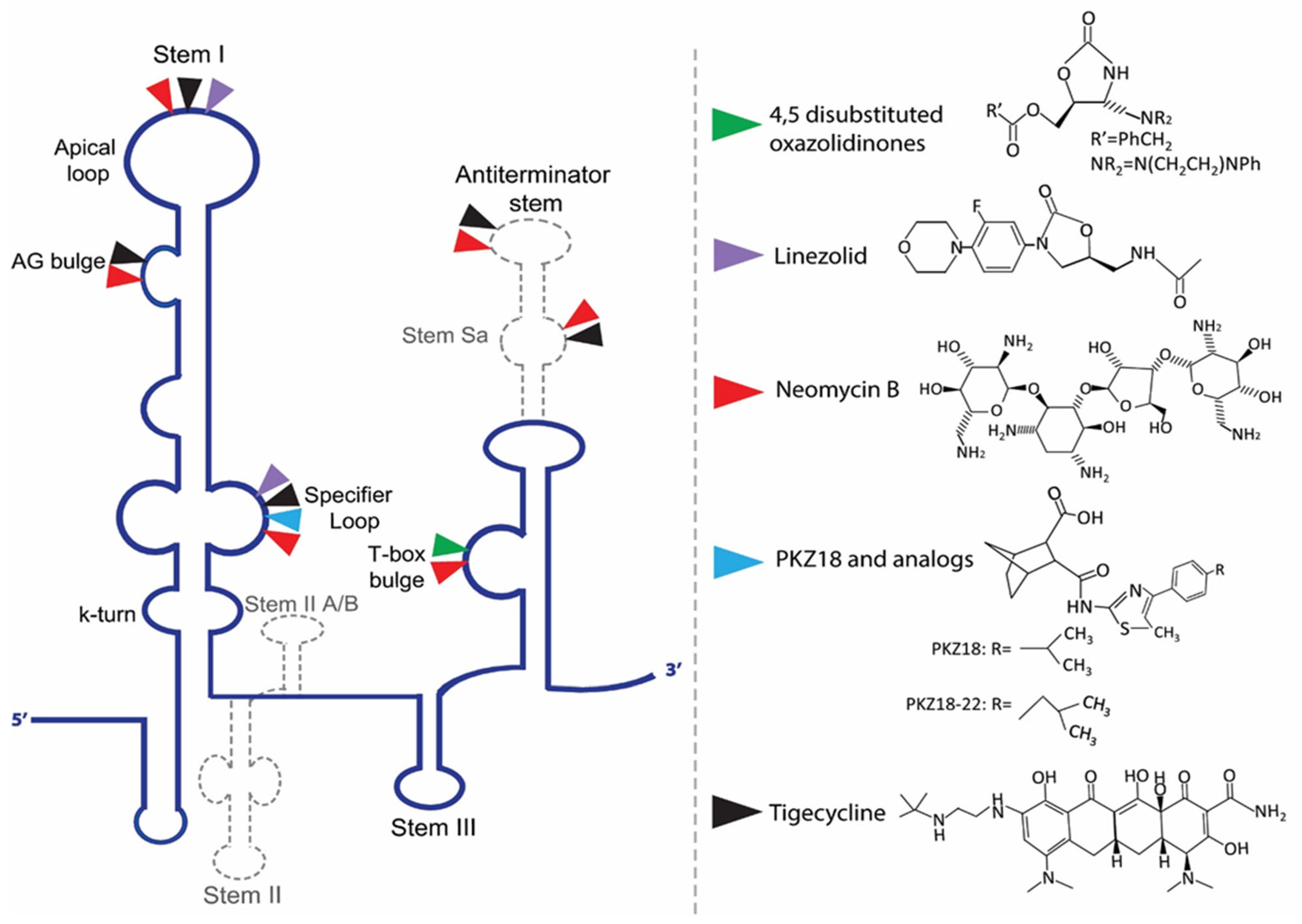 Antibiotics 11 01243 g003 Antibiotics 11 01243 g003
