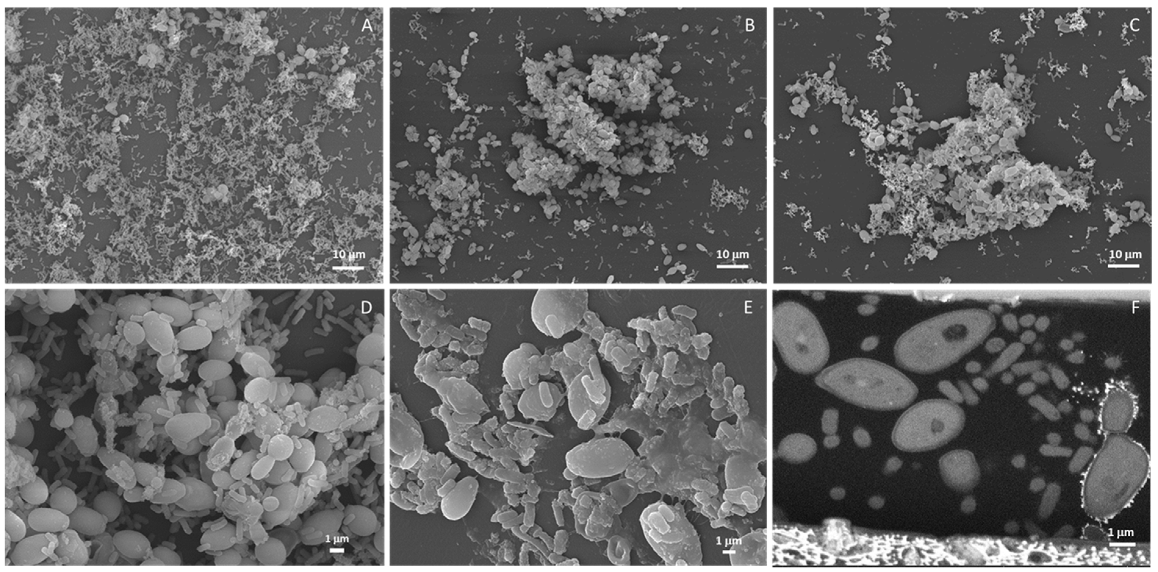 Antibiotics 11 01245 g004 550