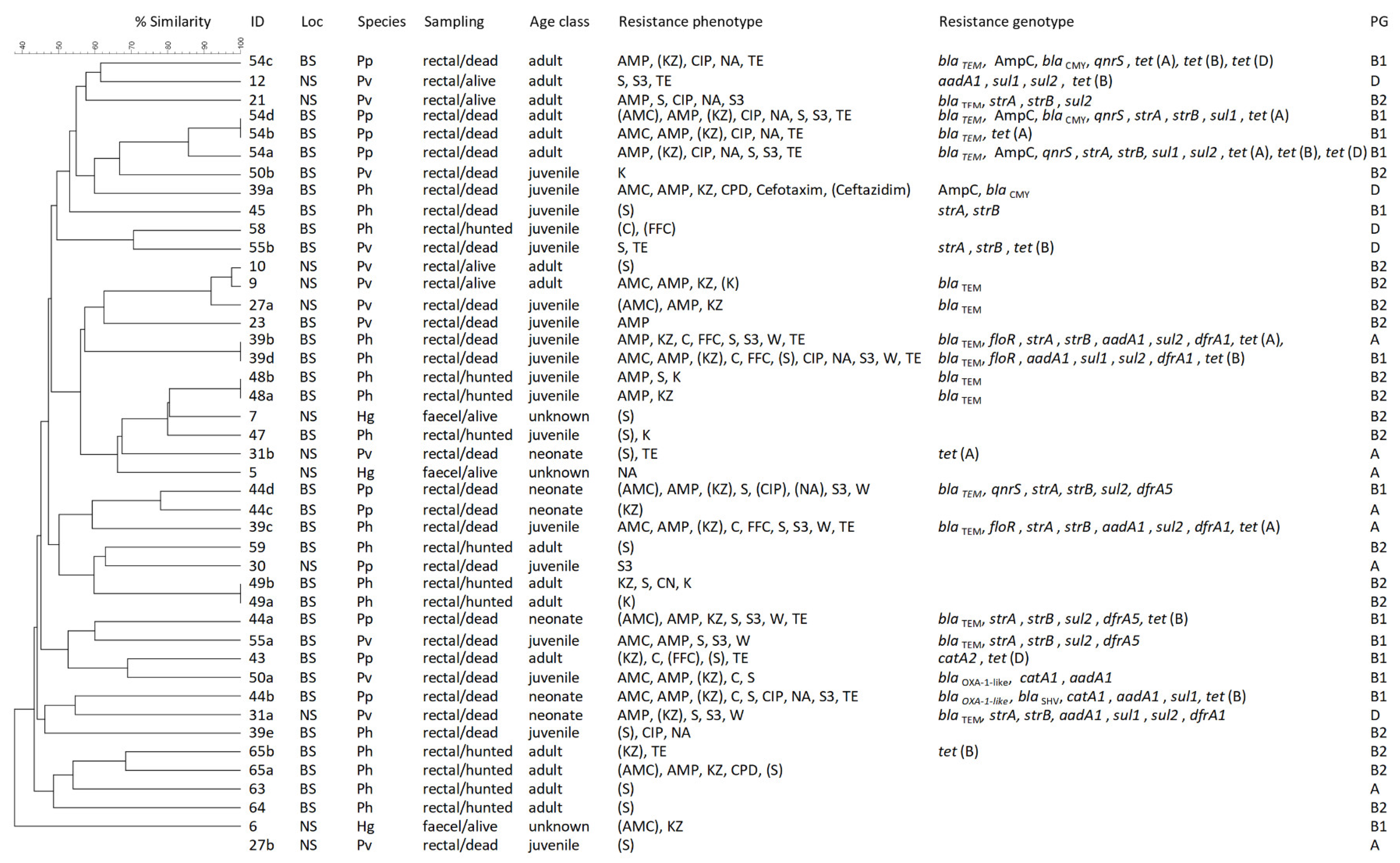 Antibiotics 11 01248 g003 Antibiotics 11 01248 g003