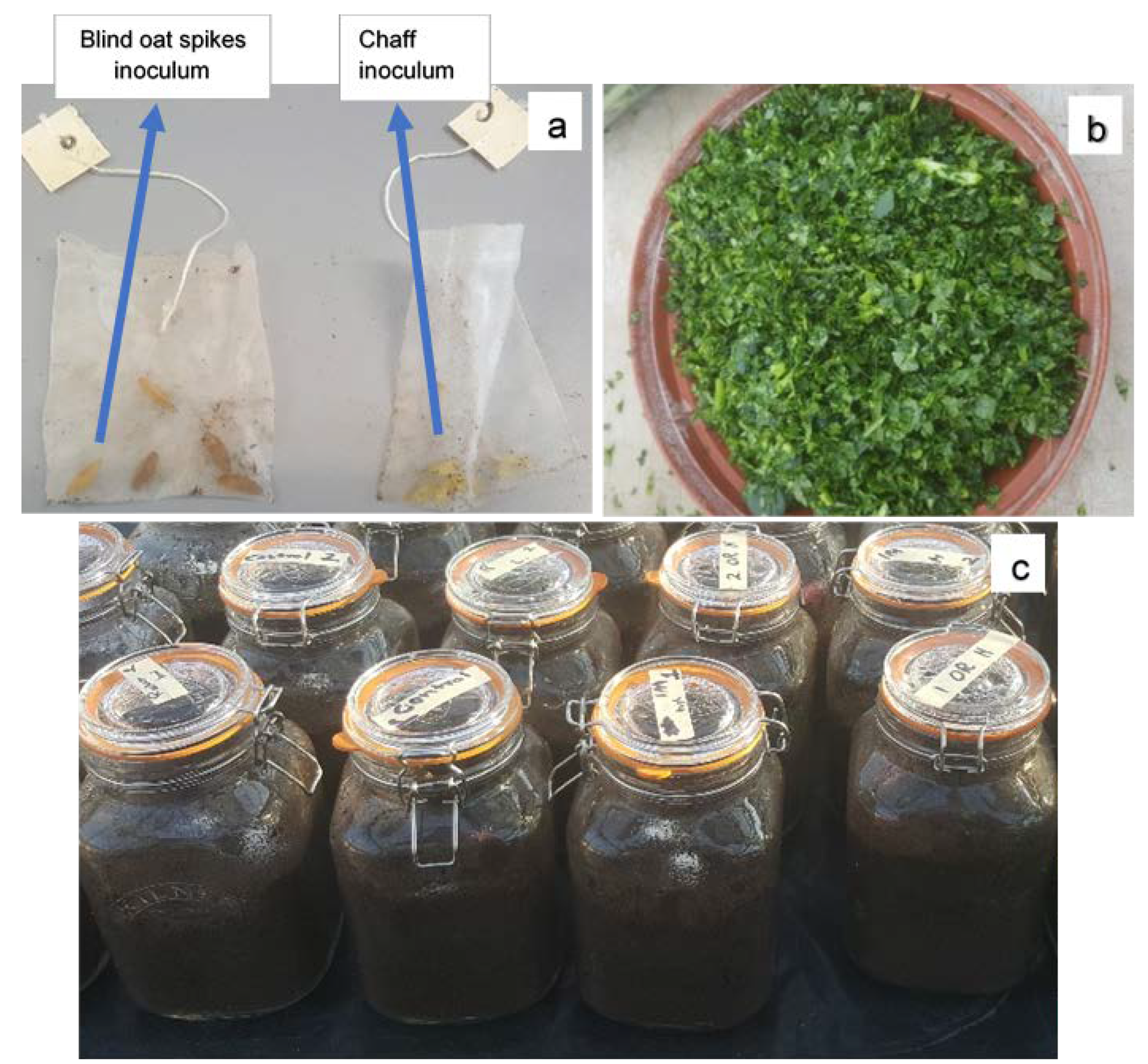 Antibiotics 11 01249 g004
