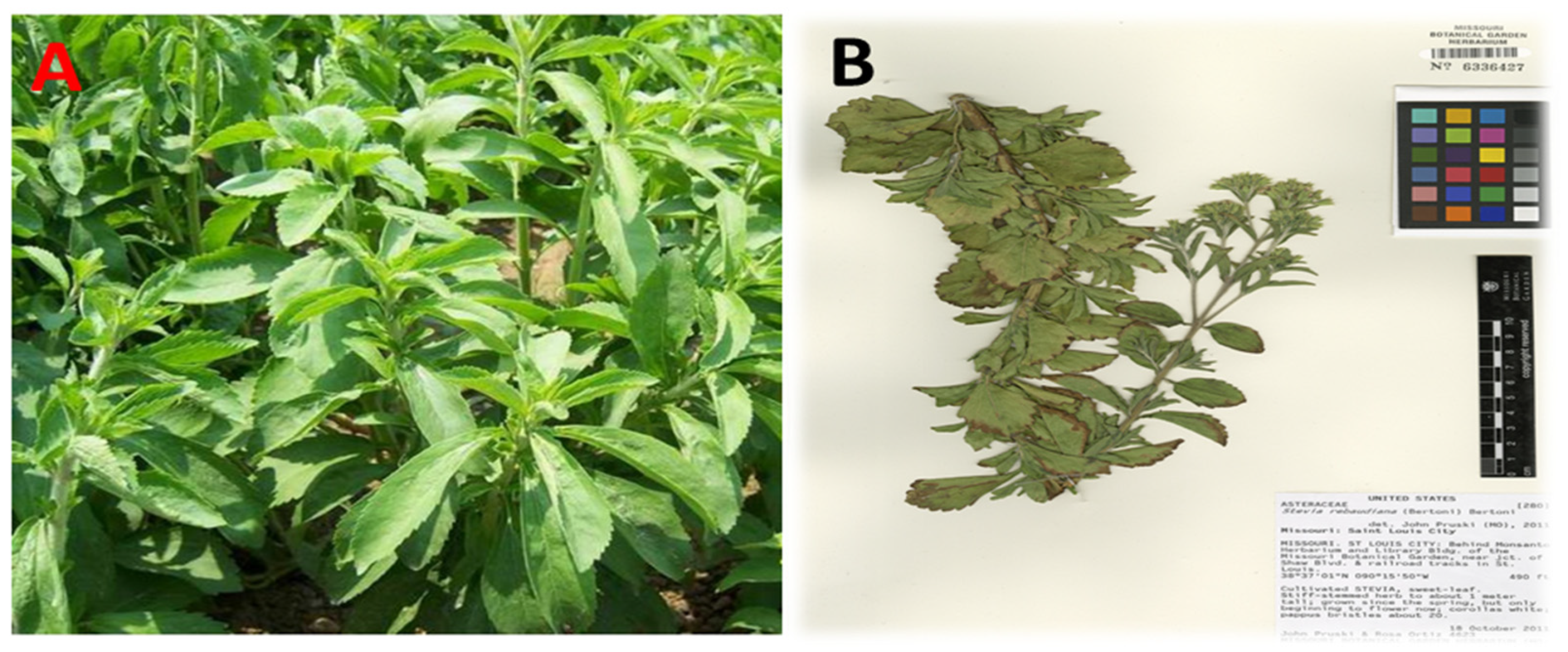 Antibiotics 11 01252 g001 Antibiotics 11 01252 g001