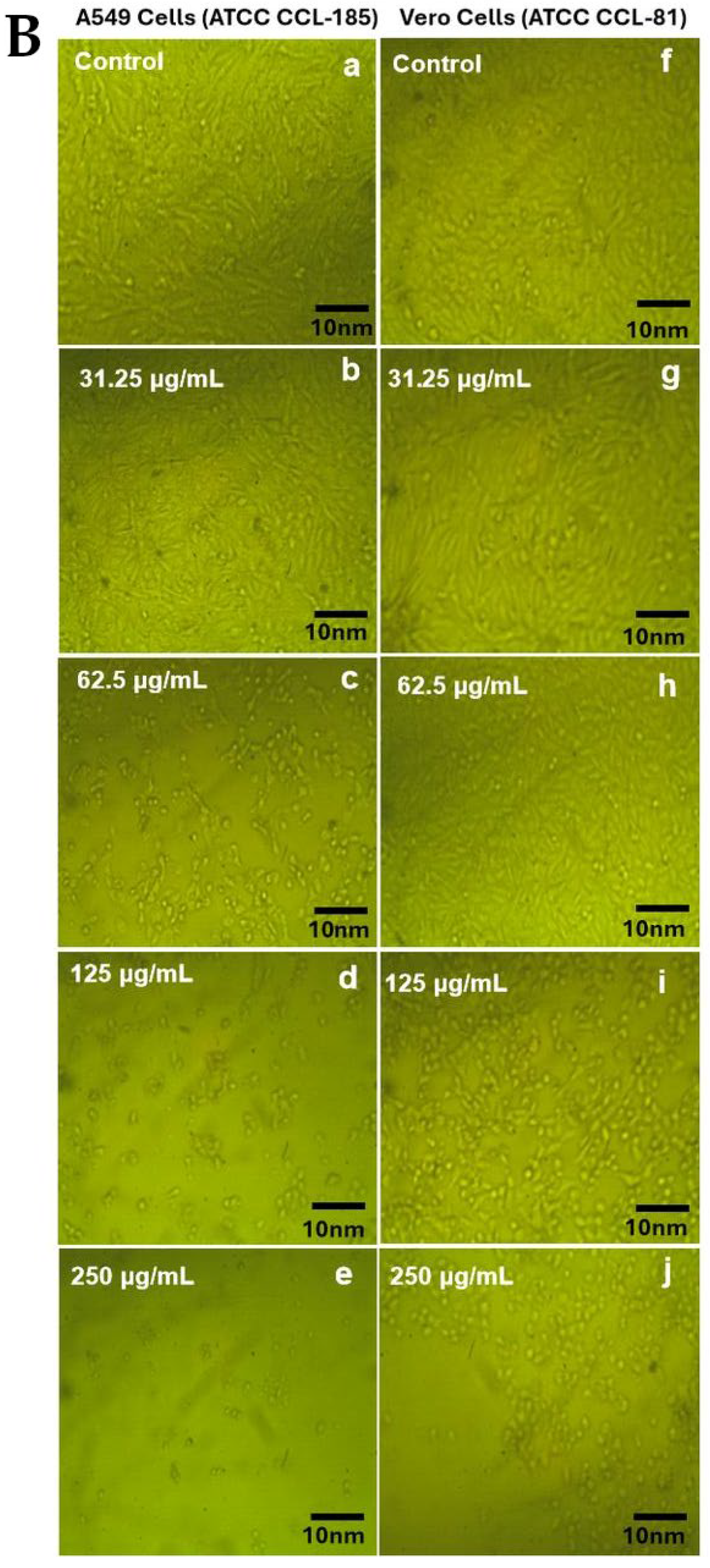 Antibiotics 11 01252 g011b Antibiotics 11 01252 g011b
