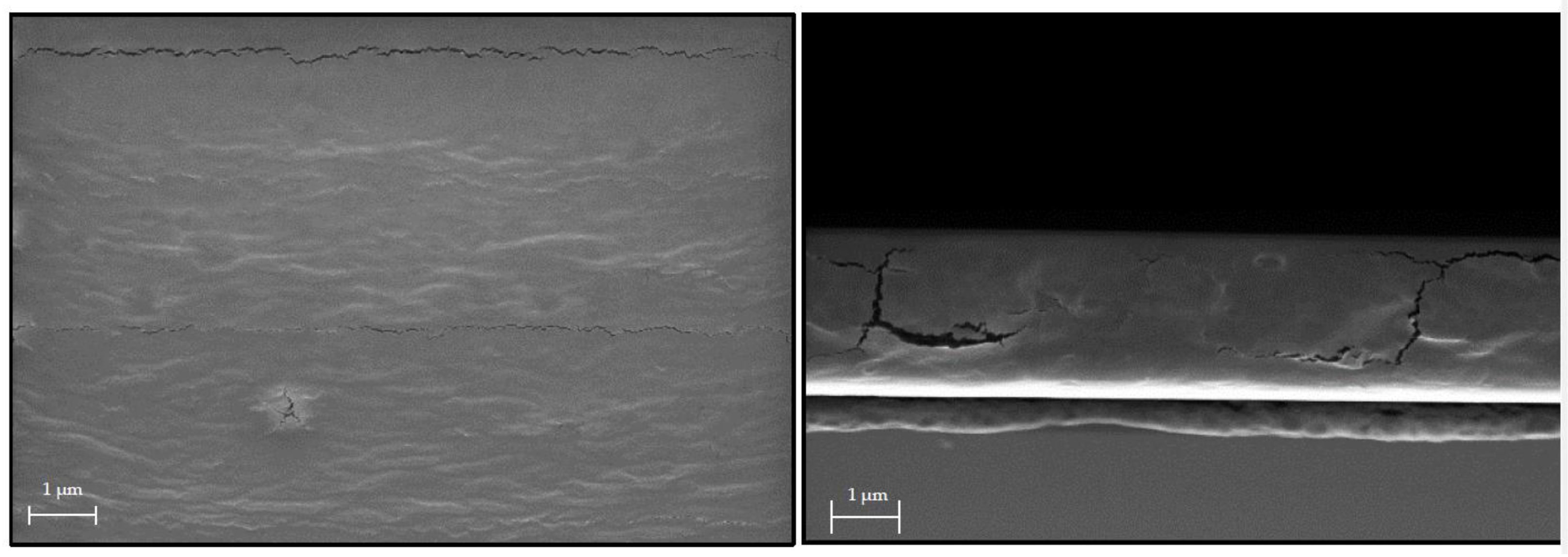 Antibiotics 11 01259 g002 Antibiotics 11 01259 g002