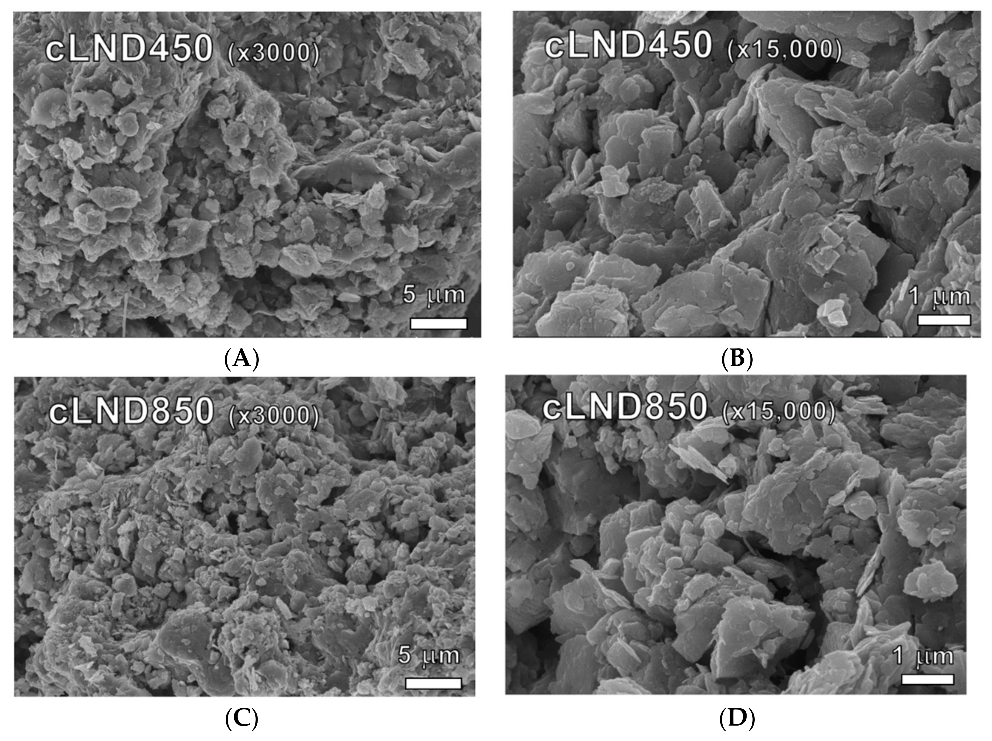 Antibiotics 11 01261 g001 550