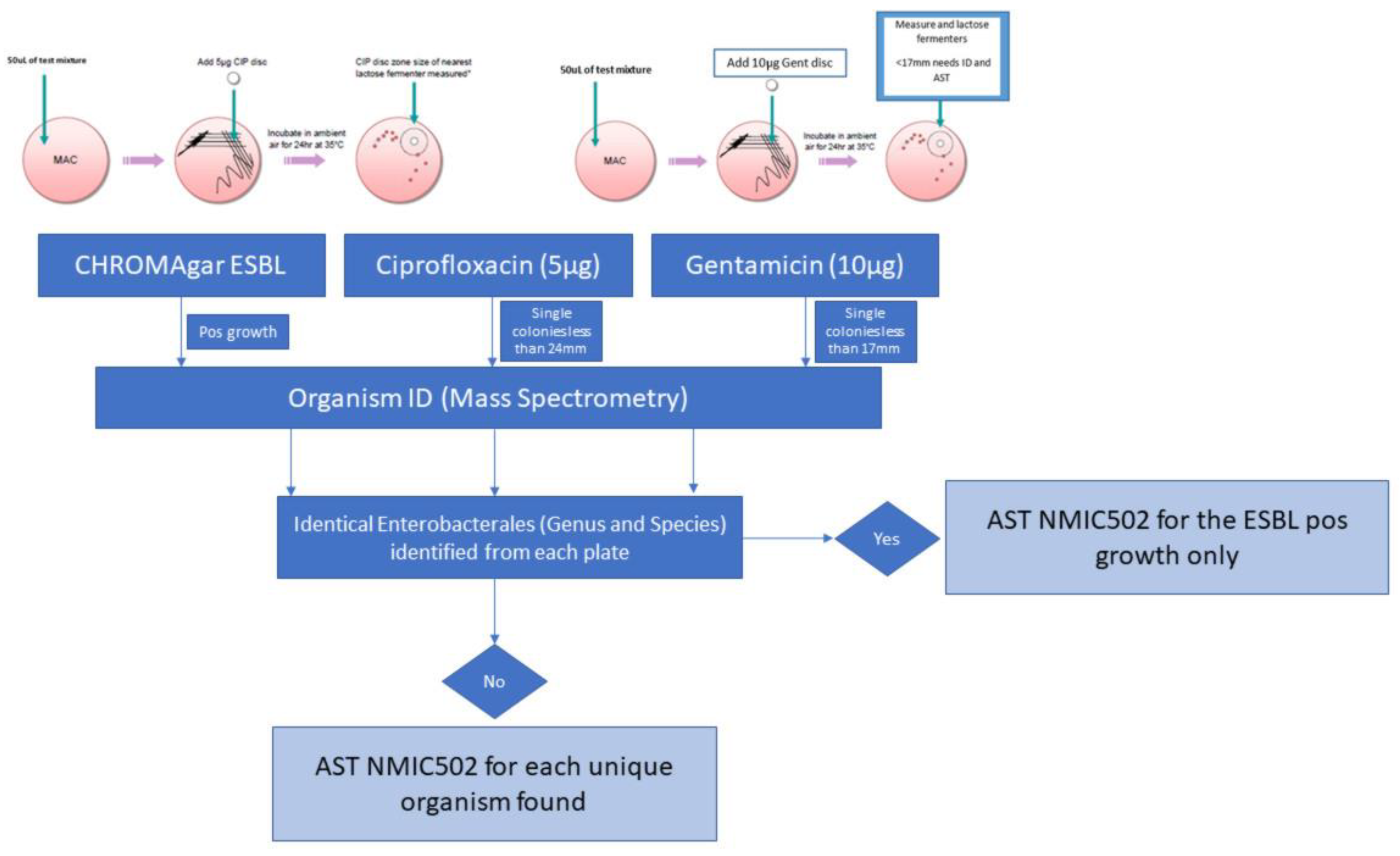 Antibiotics 11 01262 g002